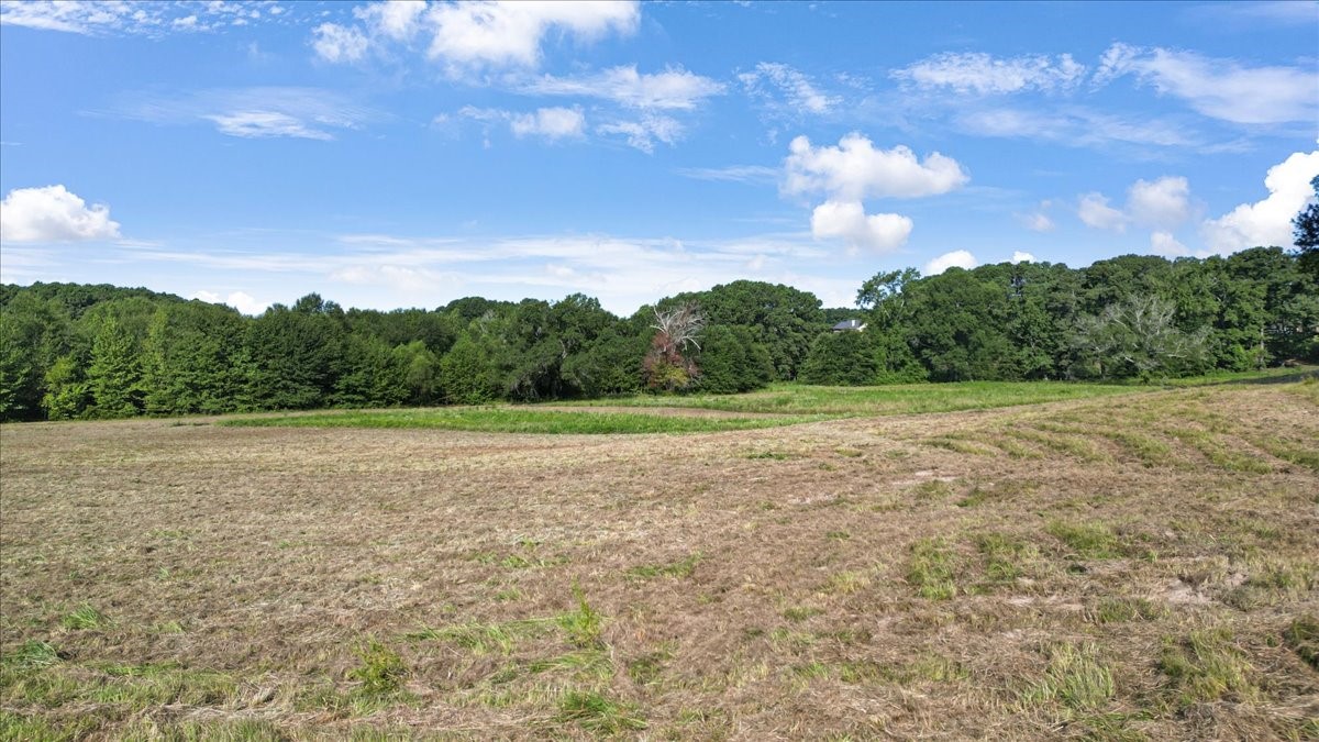 Tbd S Live Oak Gilmer TX 75644