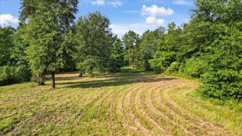 Tbd S Live Oak Gilmer TX 75644