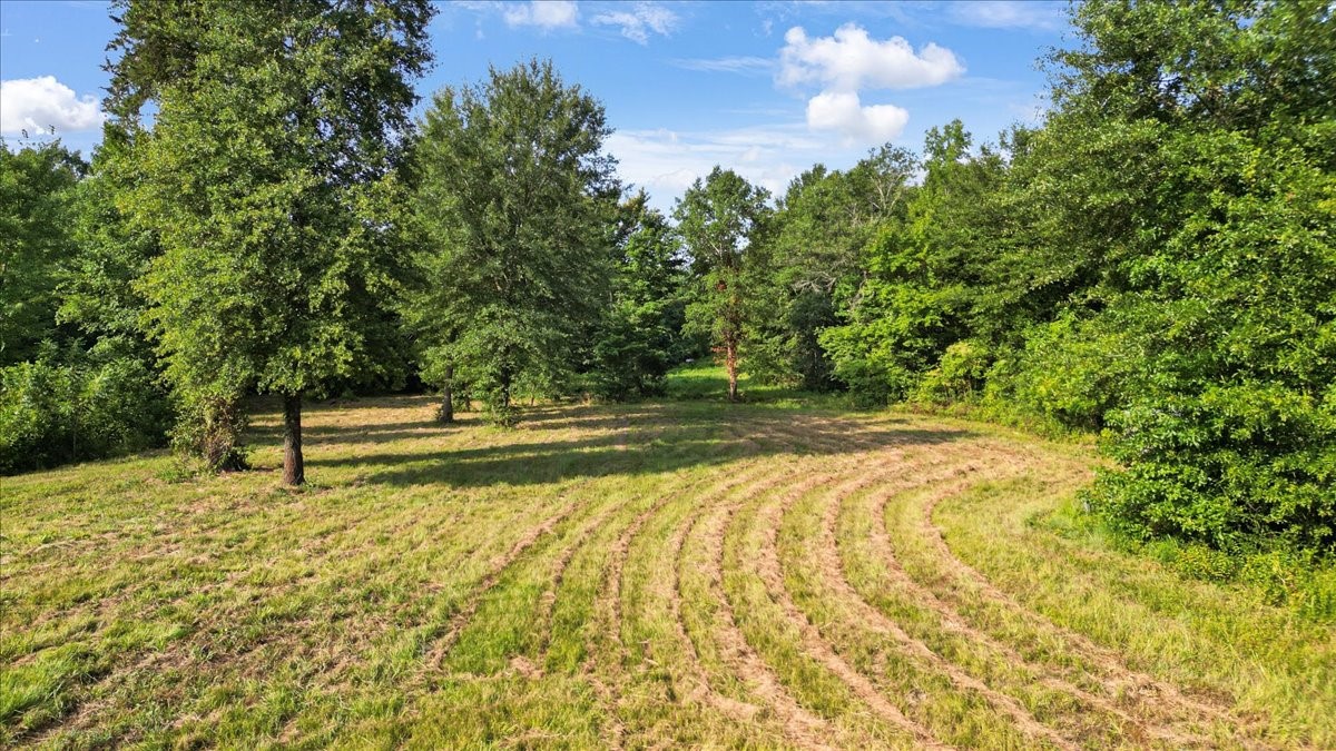 Tbd S Live Oak Gilmer TX 75644
