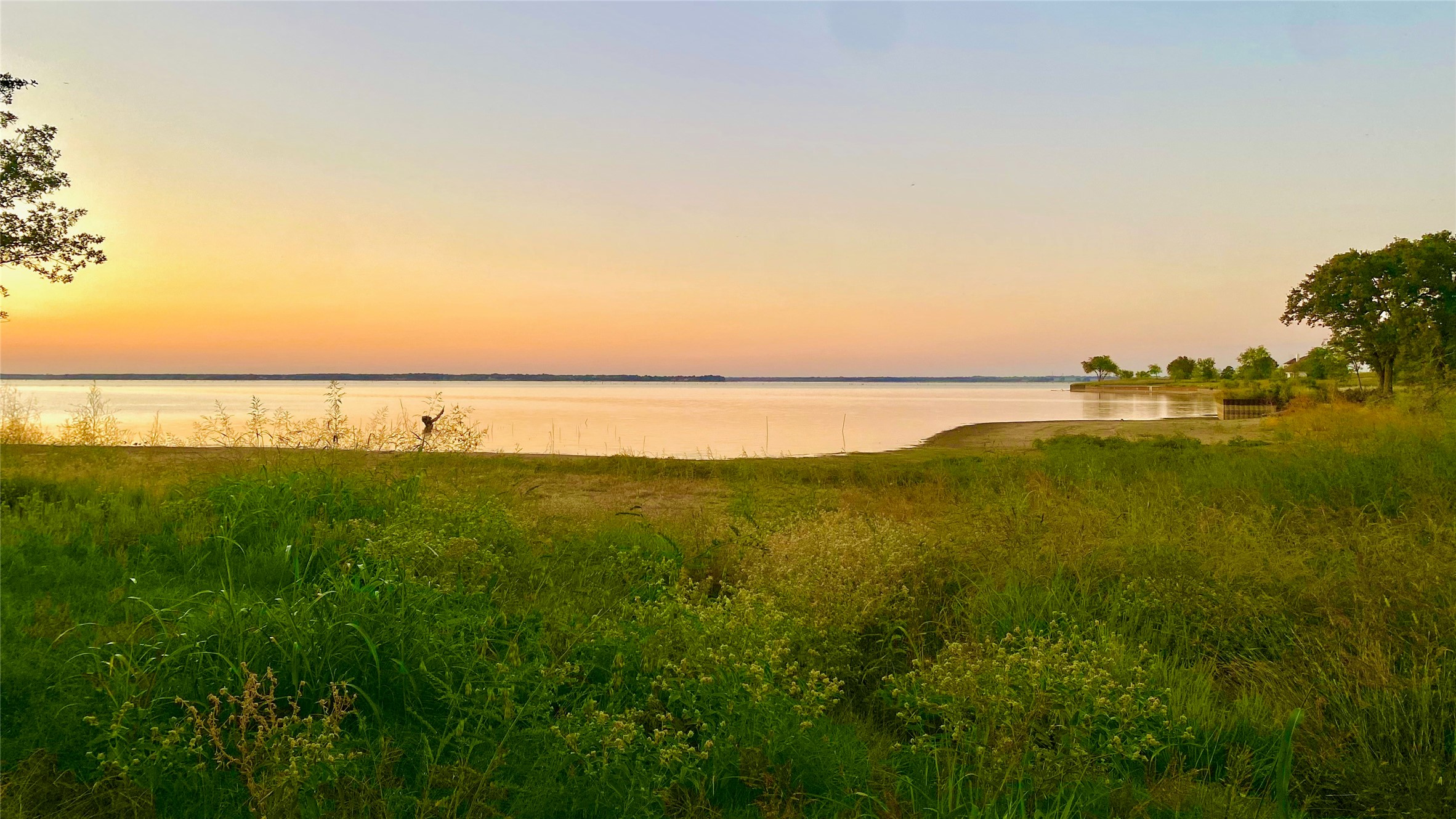 Lot 52 Paradise Cove Streetman TX 75859