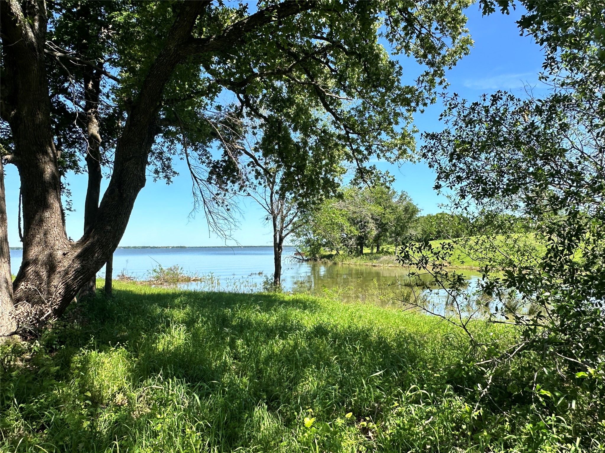 Lot 52 Paradise Cove Streetman TX 75859