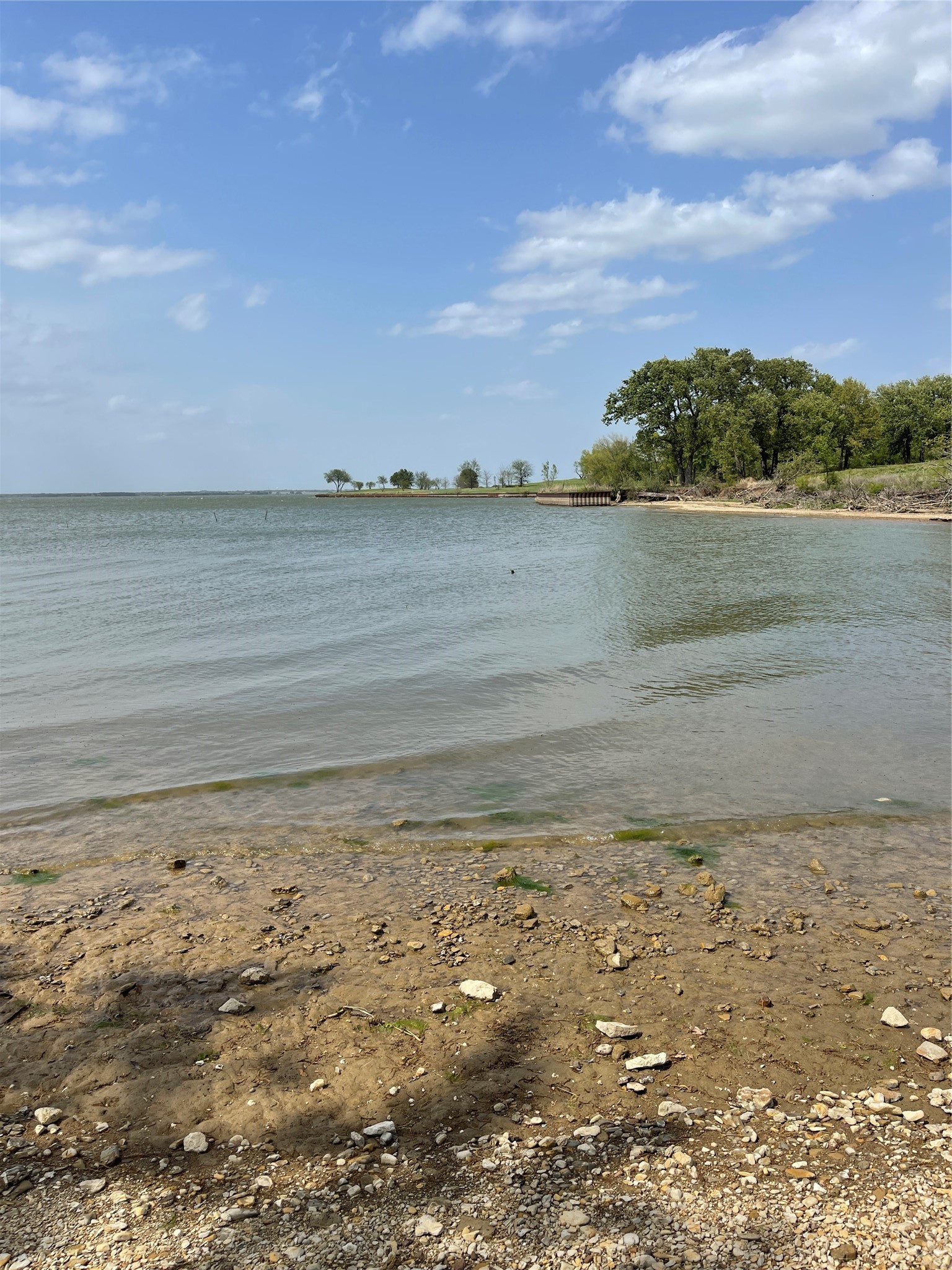 Lot 52 Paradise Cove Streetman TX 75859