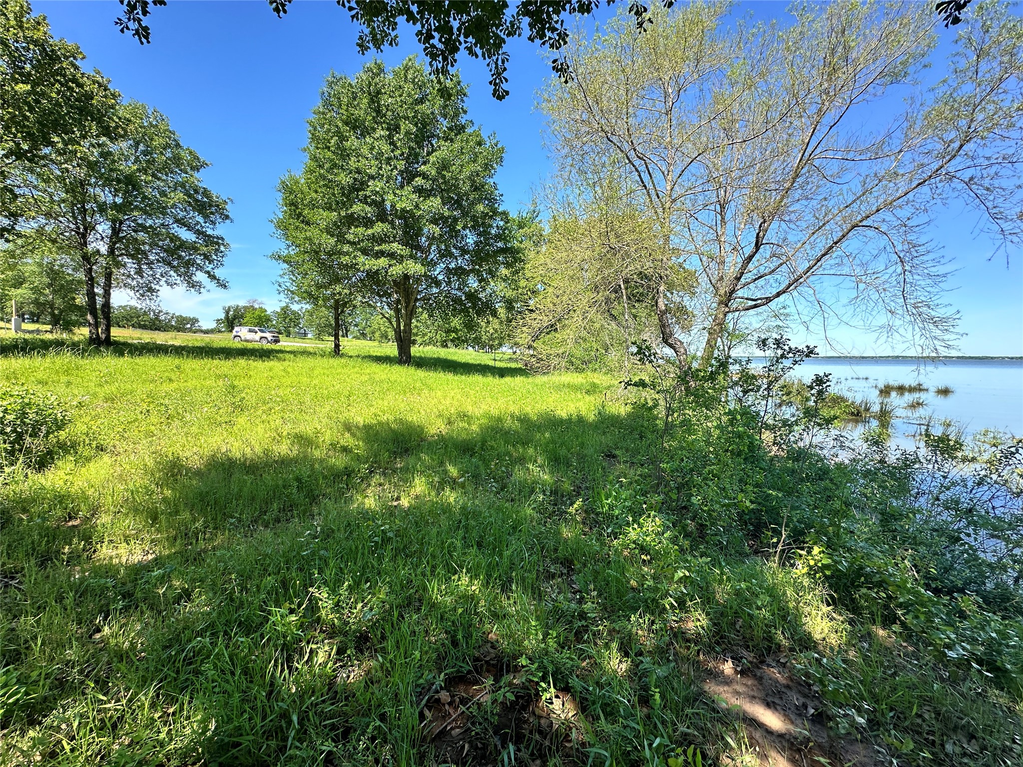 Lot 52 Paradise Cove Streetman TX 75859