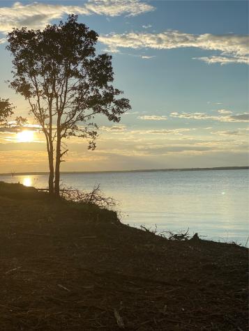 Lot 52 Paradise Cove Streetman TX 75859