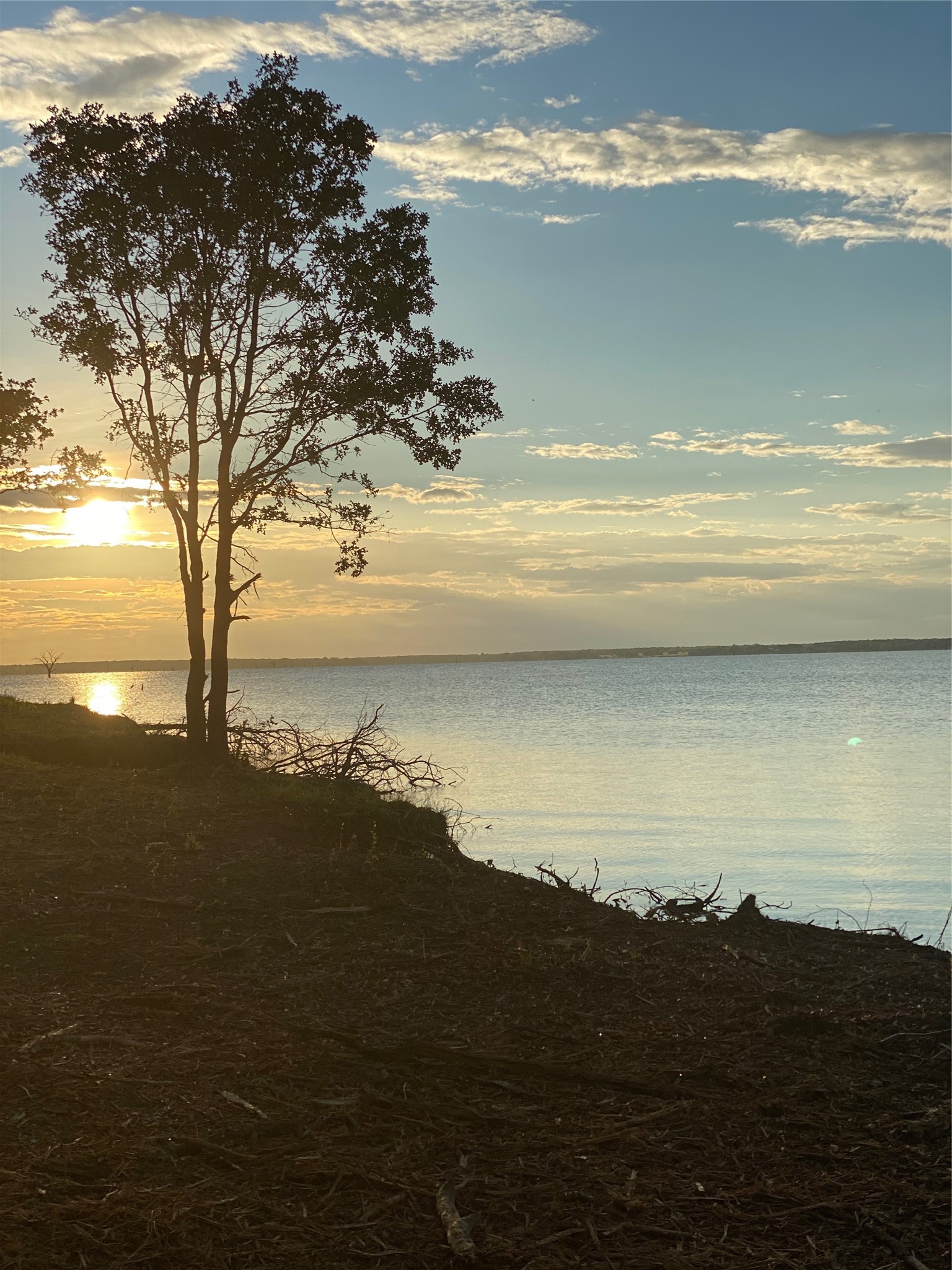 Lot 52 Paradise Cove Streetman TX 75859