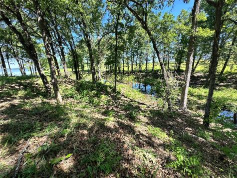 Lot 52 Paradise Cove Streetman TX 75859