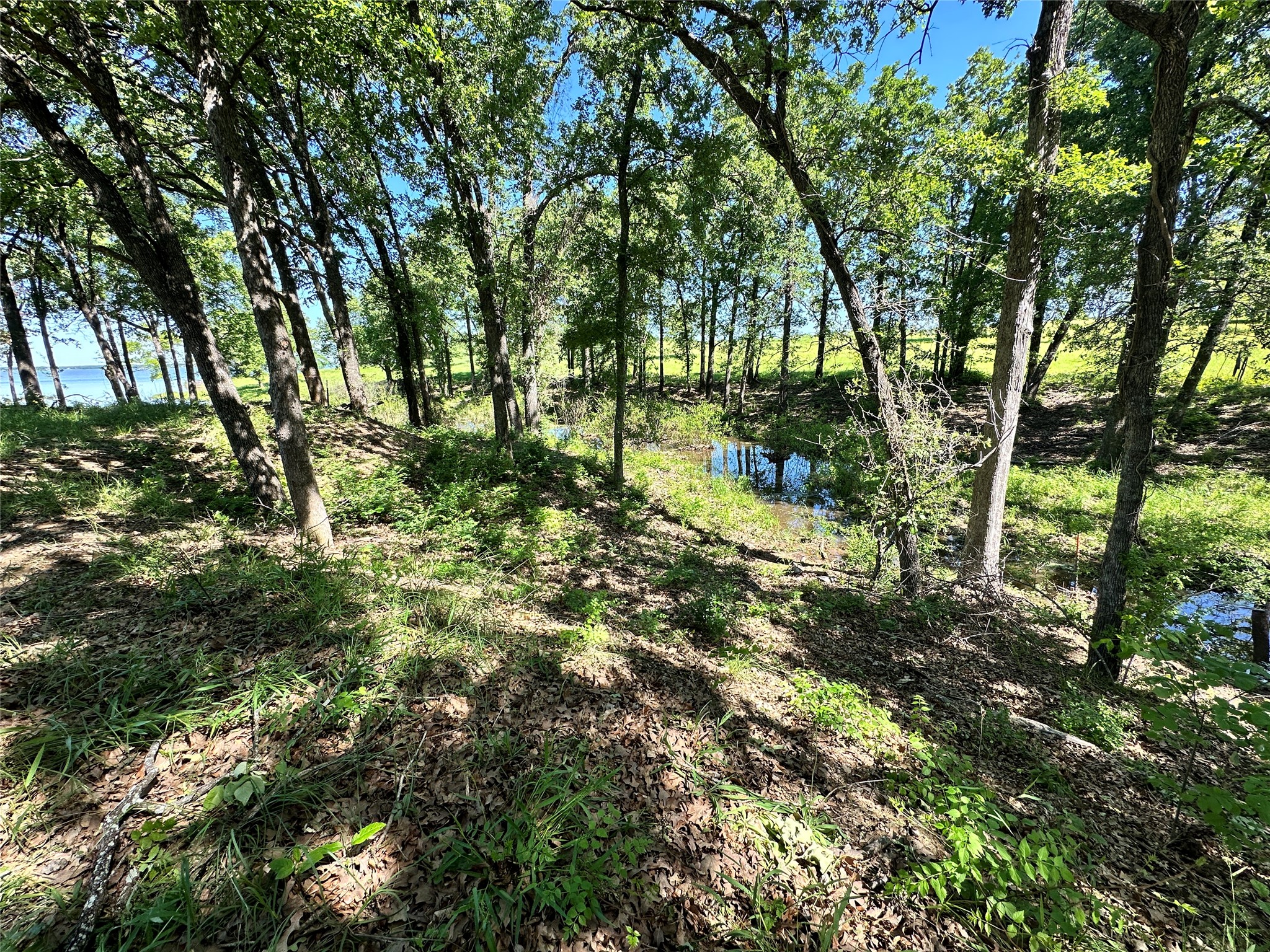Lot 52 Paradise Cove Streetman TX 75859