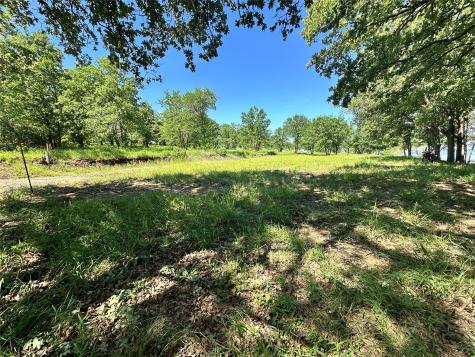 Lot 52 Paradise Cove Streetman TX 75859