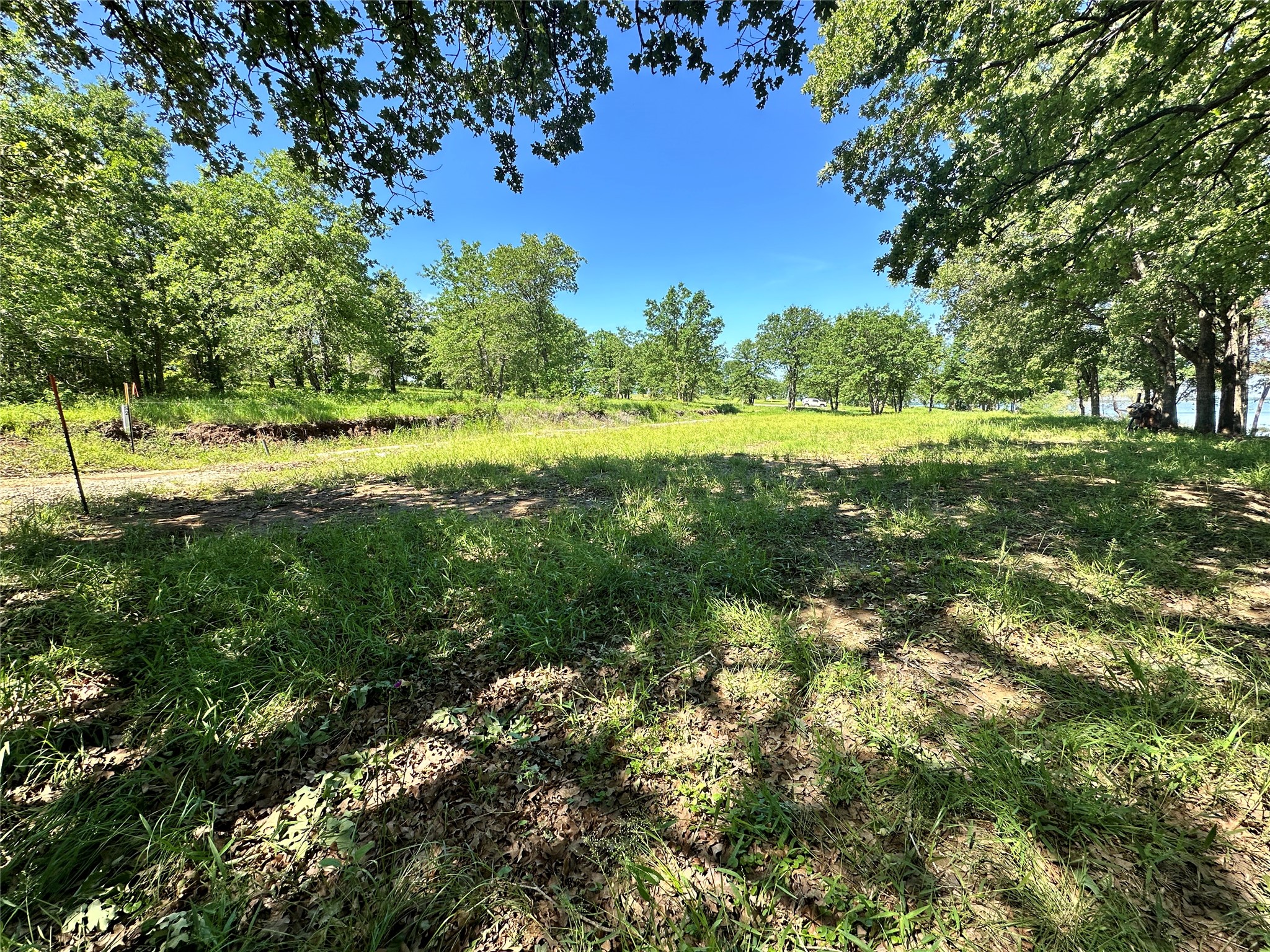 Lot 52 Paradise Cove Streetman TX 75859