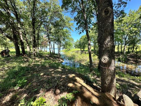 Lot 52 Paradise Cove Streetman TX 75859