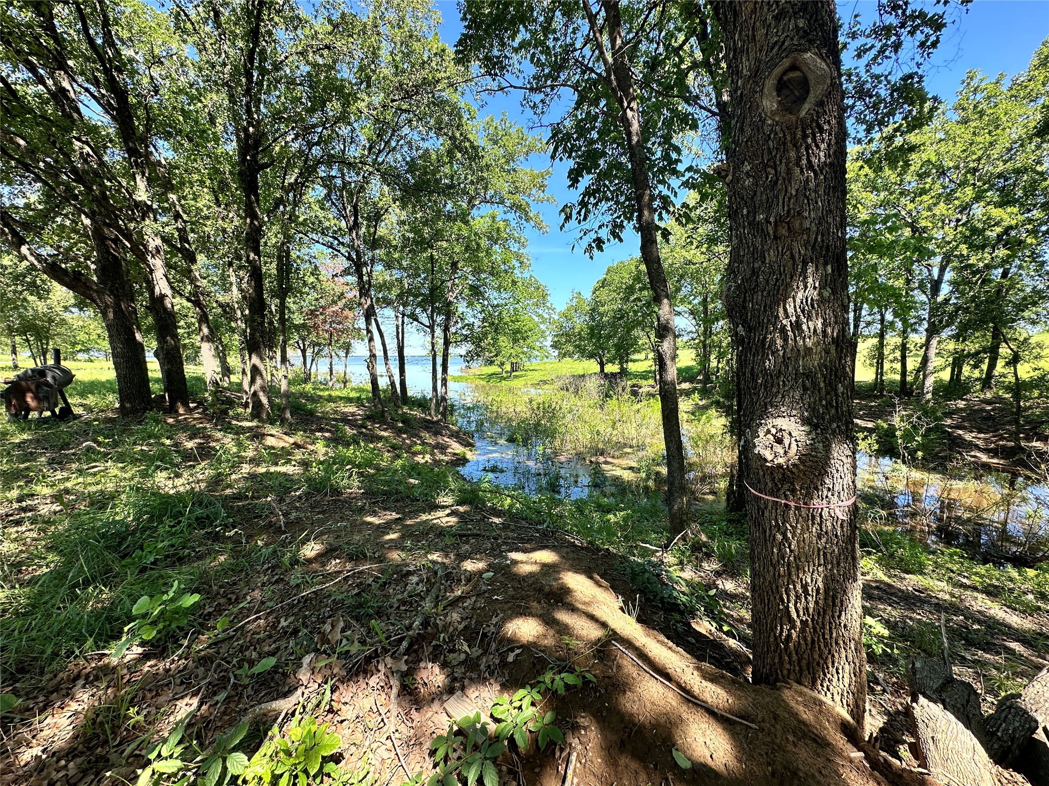 Lot 52 Paradise Cove Streetman TX 75859