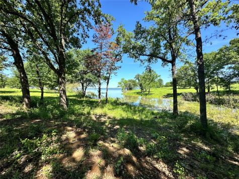 Lot 52 Paradise Cove Streetman TX 75859
