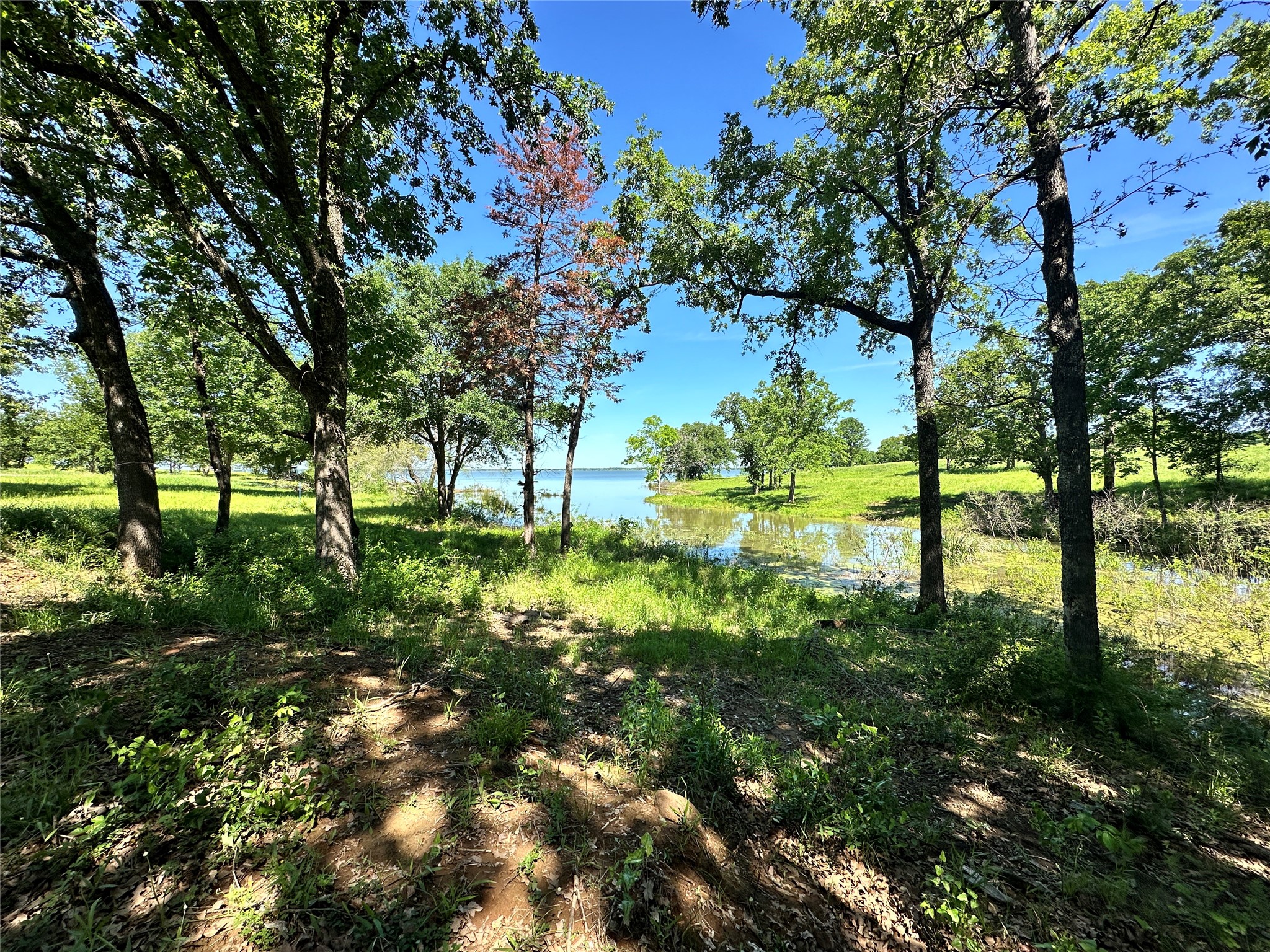 Lot 52 Paradise Cove Streetman TX 75859