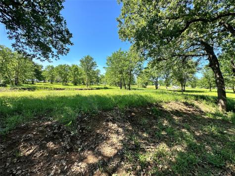 Lot 52 Paradise Cove Streetman TX 75859