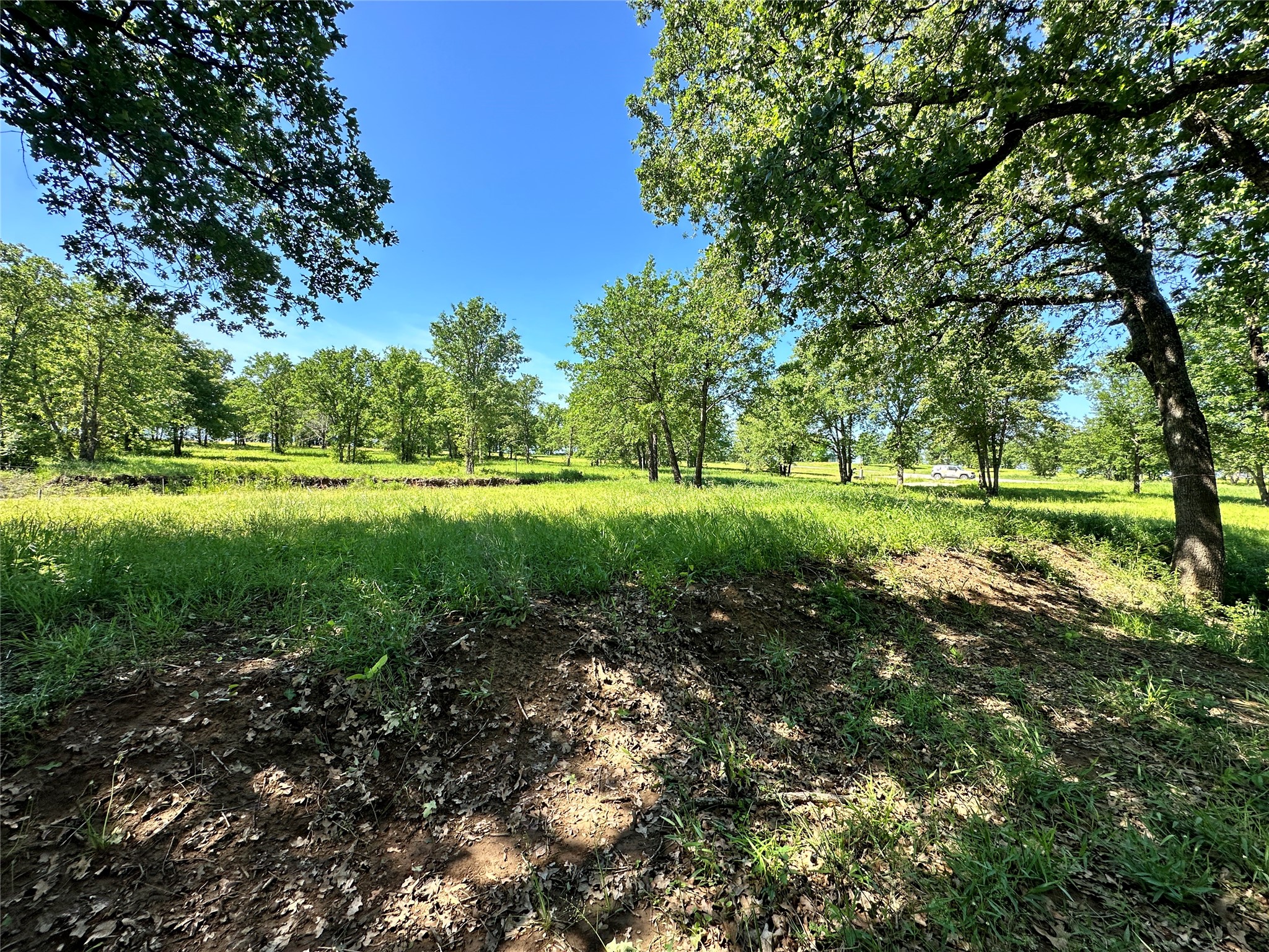 Lot 52 Paradise Cove Streetman TX 75859