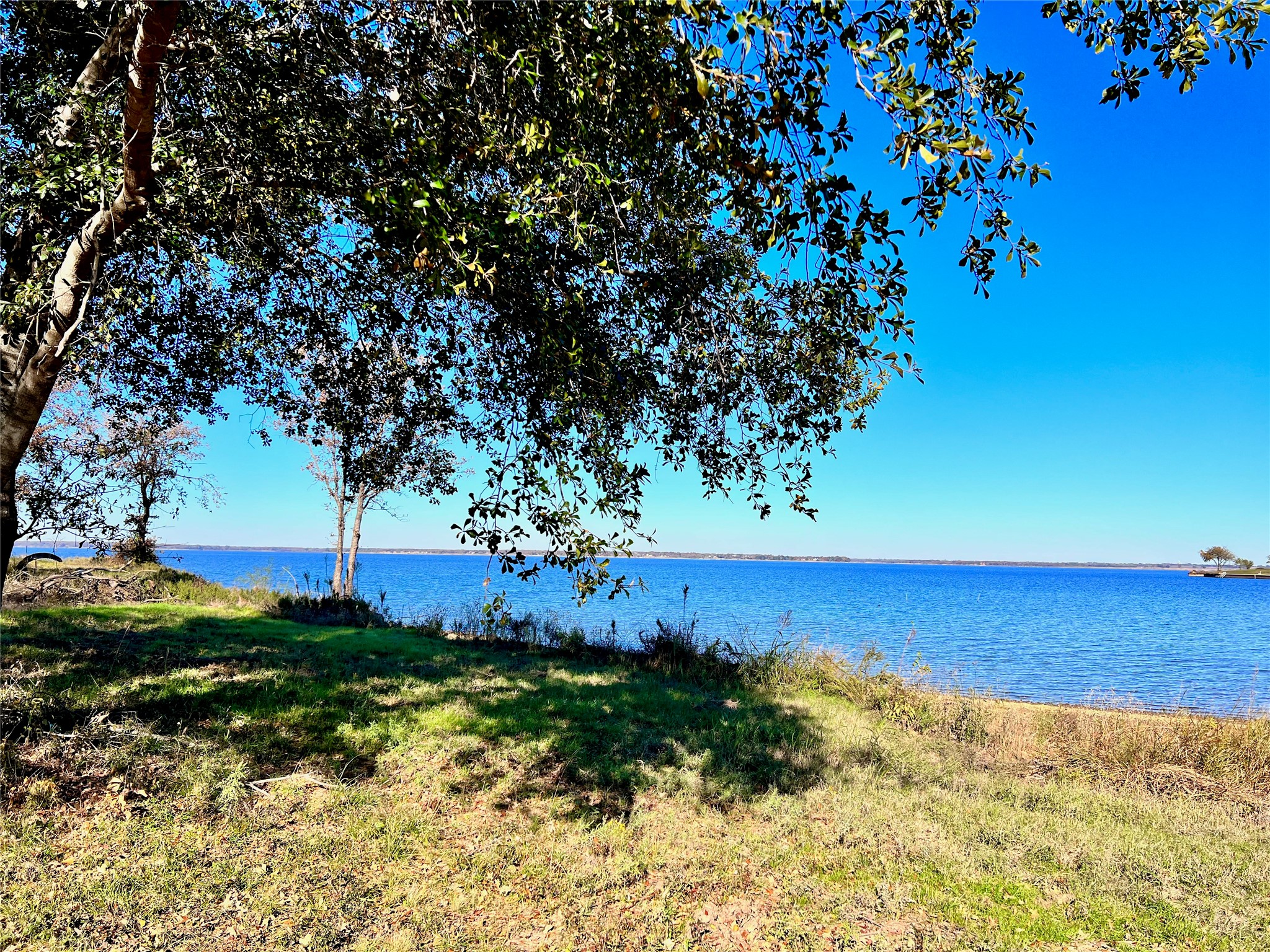 Lot 52 Paradise Cove Streetman TX 75859