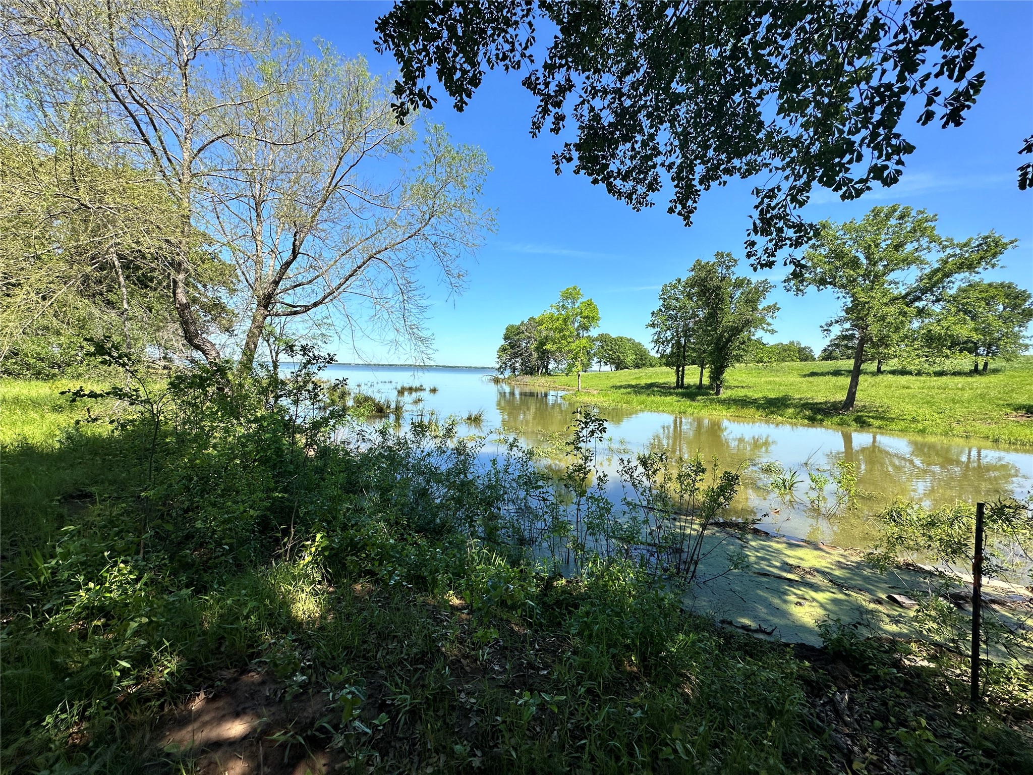 Lot 52 Paradise Cove Streetman TX 75859