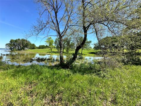Lot 52 Paradise Cove Streetman TX 75859