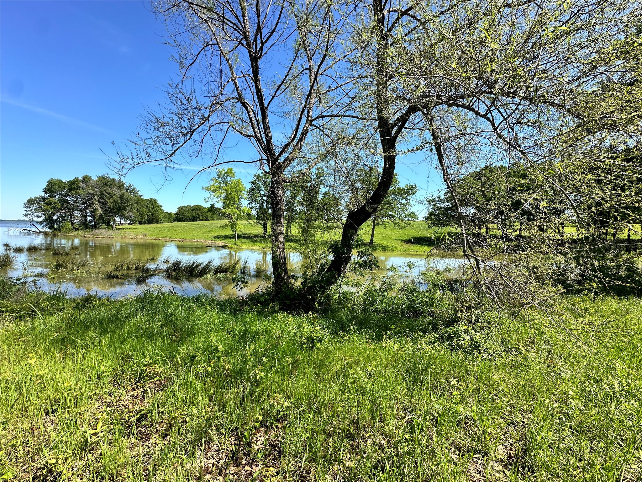 Lot 52 Paradise Cove Streetman TX 75859