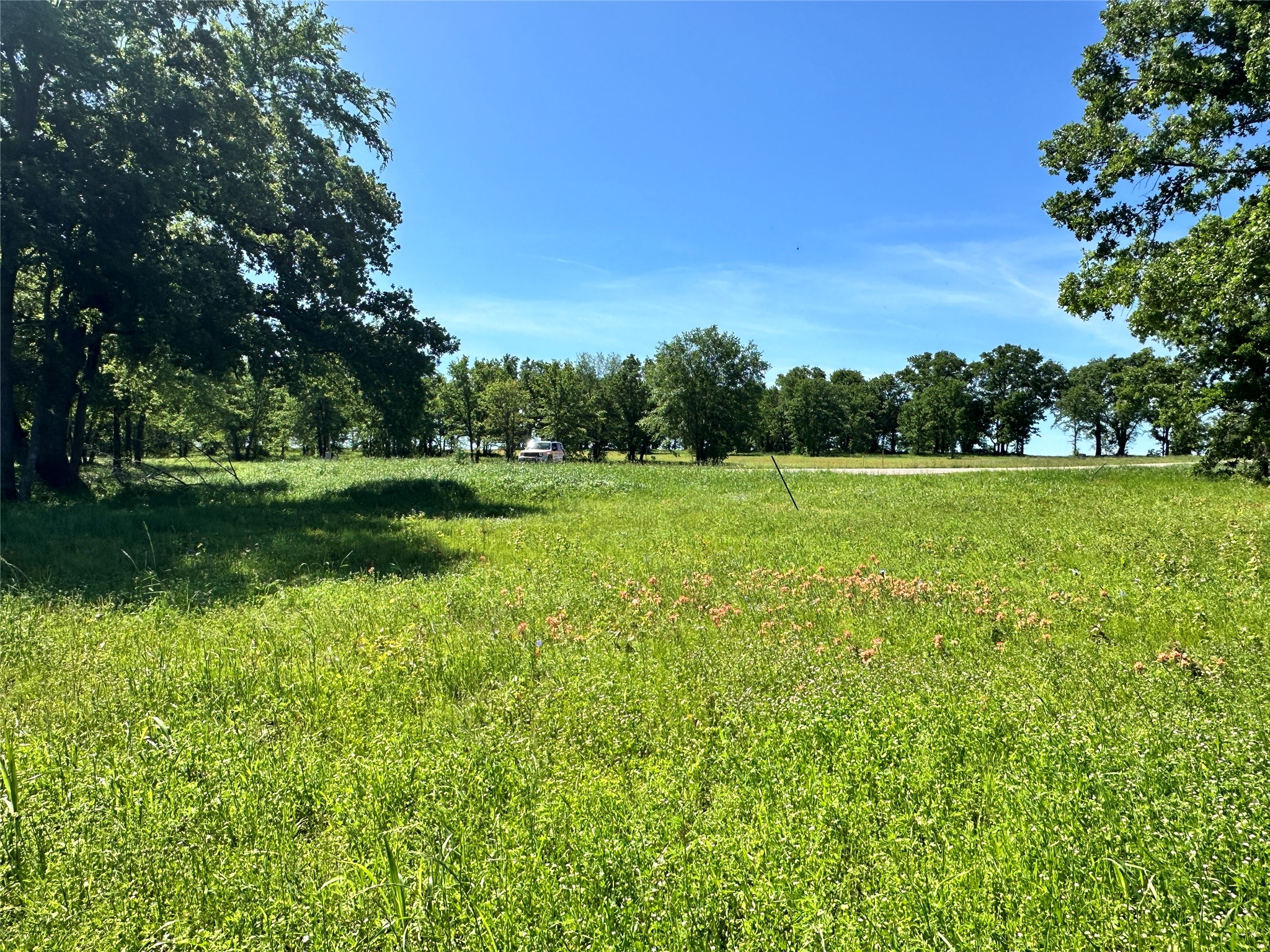 Lot 52 Paradise Cove Streetman TX 75859