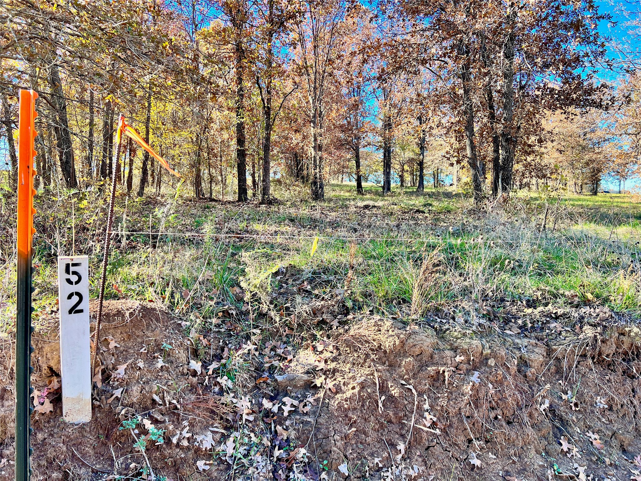 Lot 52 Paradise Cove Streetman TX 75859