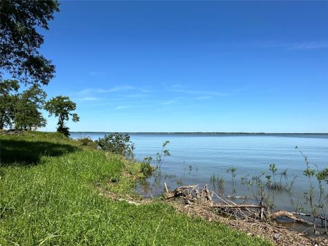 Lot 52 Paradise Cove Streetman TX 75859