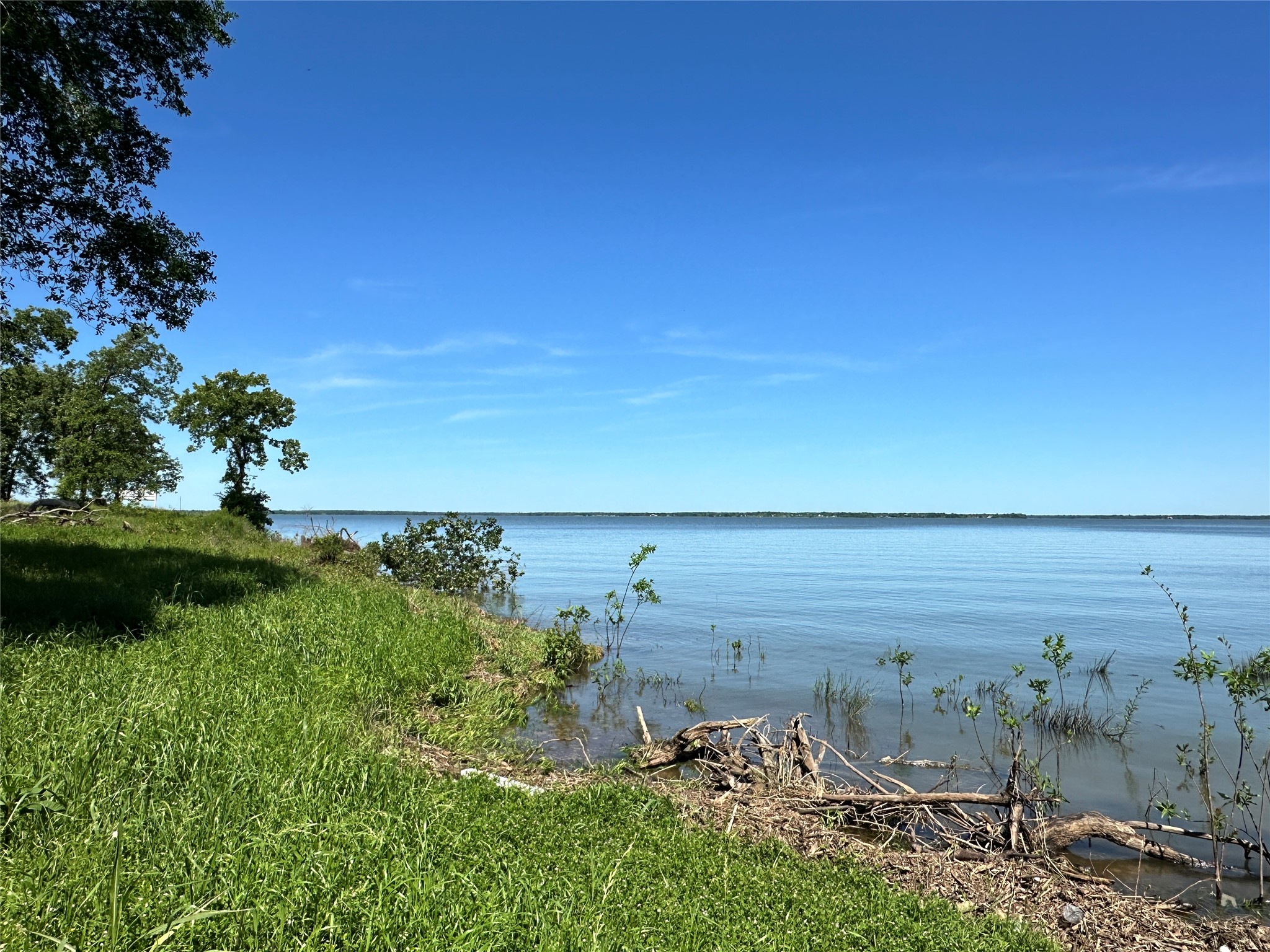 Lot 52 Paradise Cove Streetman TX 75859