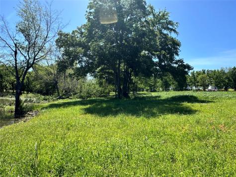Lot 52 Paradise Cove Streetman TX 75859