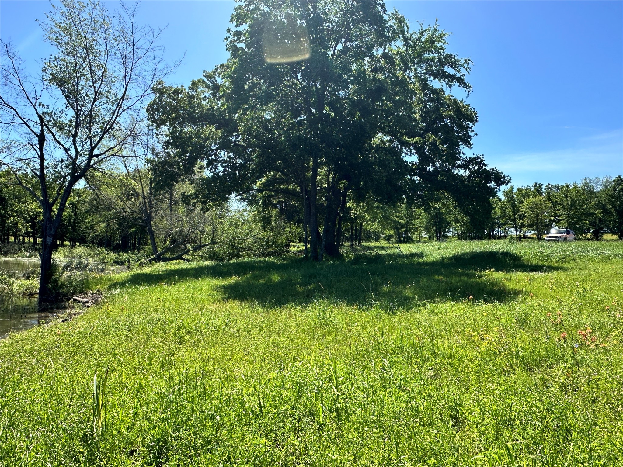 Lot 52 Paradise Cove Streetman TX 75859