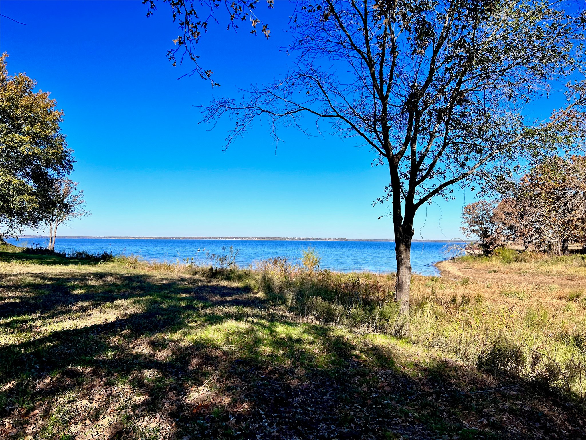 Lot 52 Paradise Cove Streetman TX 75859