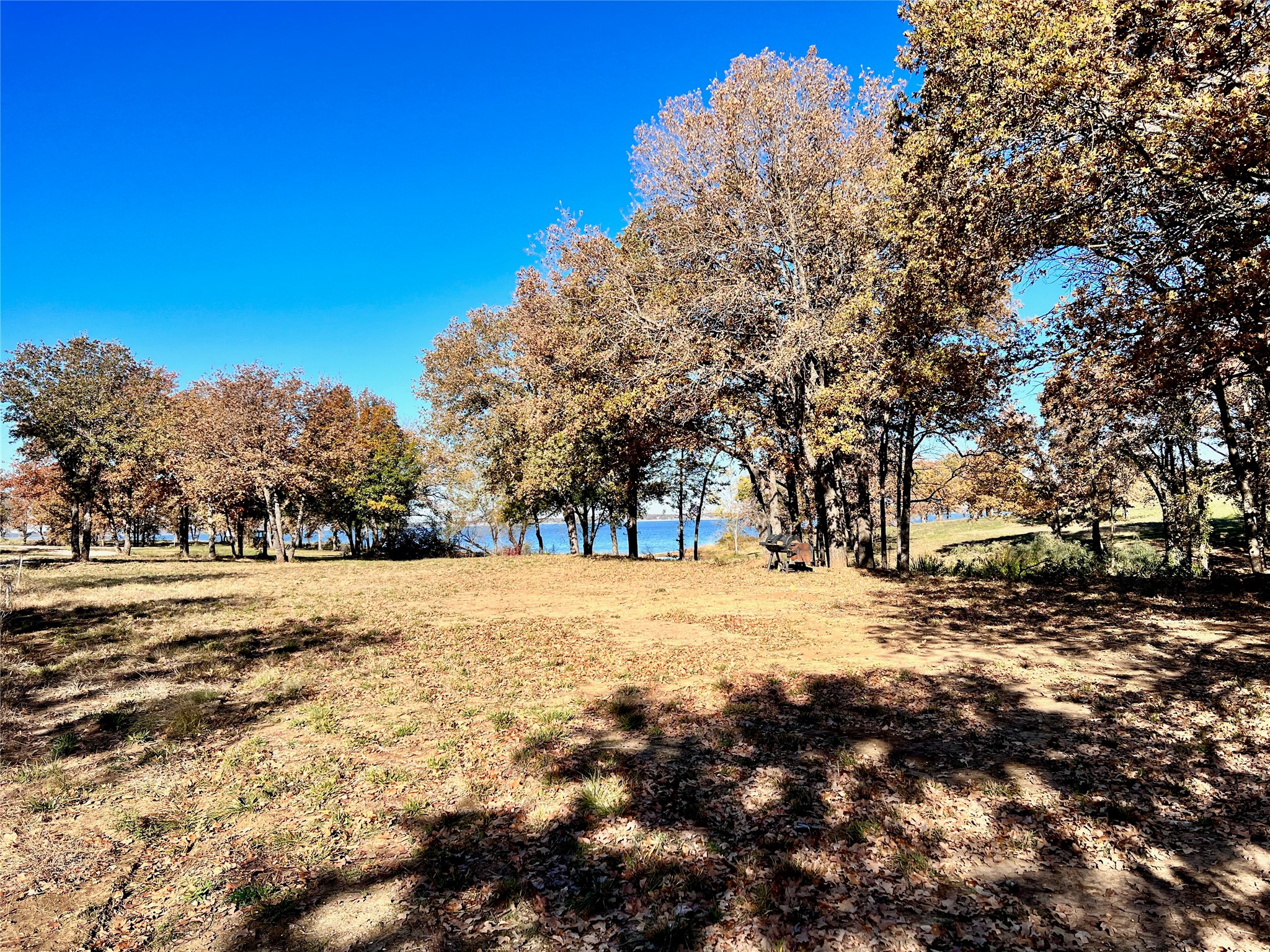 Lot 52 Paradise Cove Streetman TX 75859