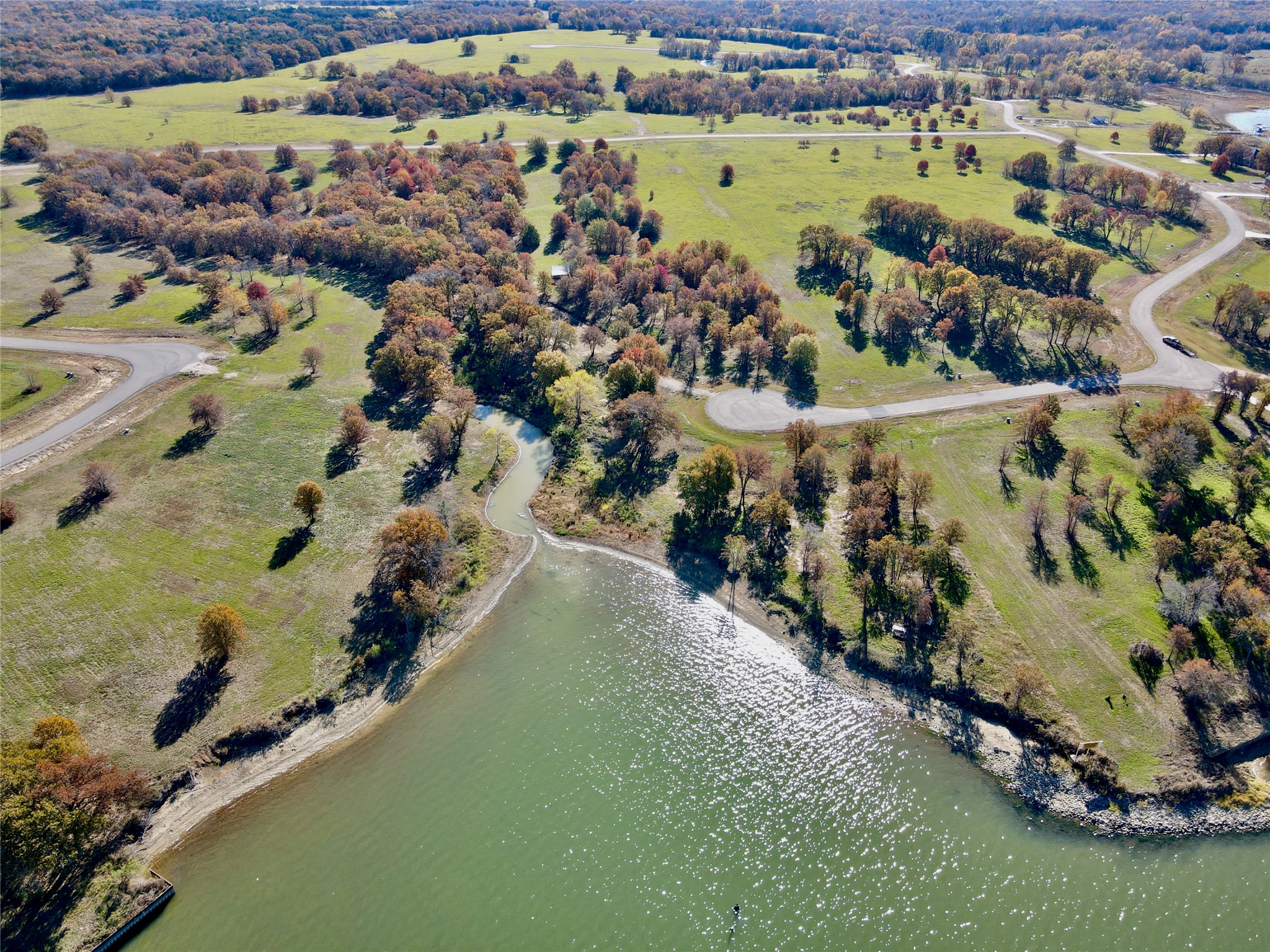 Lot 52 Paradise Cove Streetman TX 75859