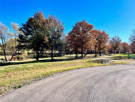 Lot 52 Paradise Cove Streetman TX 75859