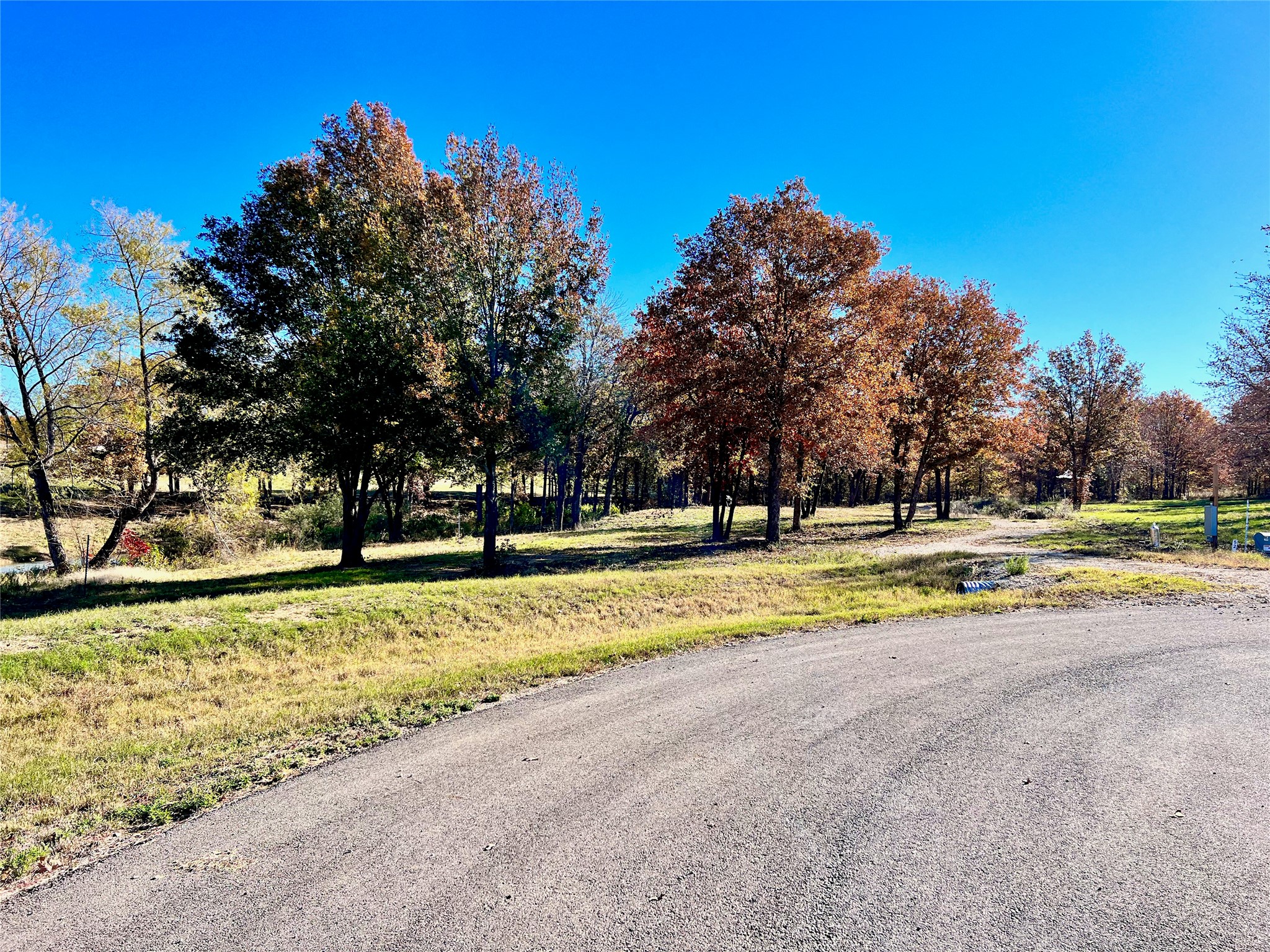 Lot 52 Paradise Cove Streetman TX 75859