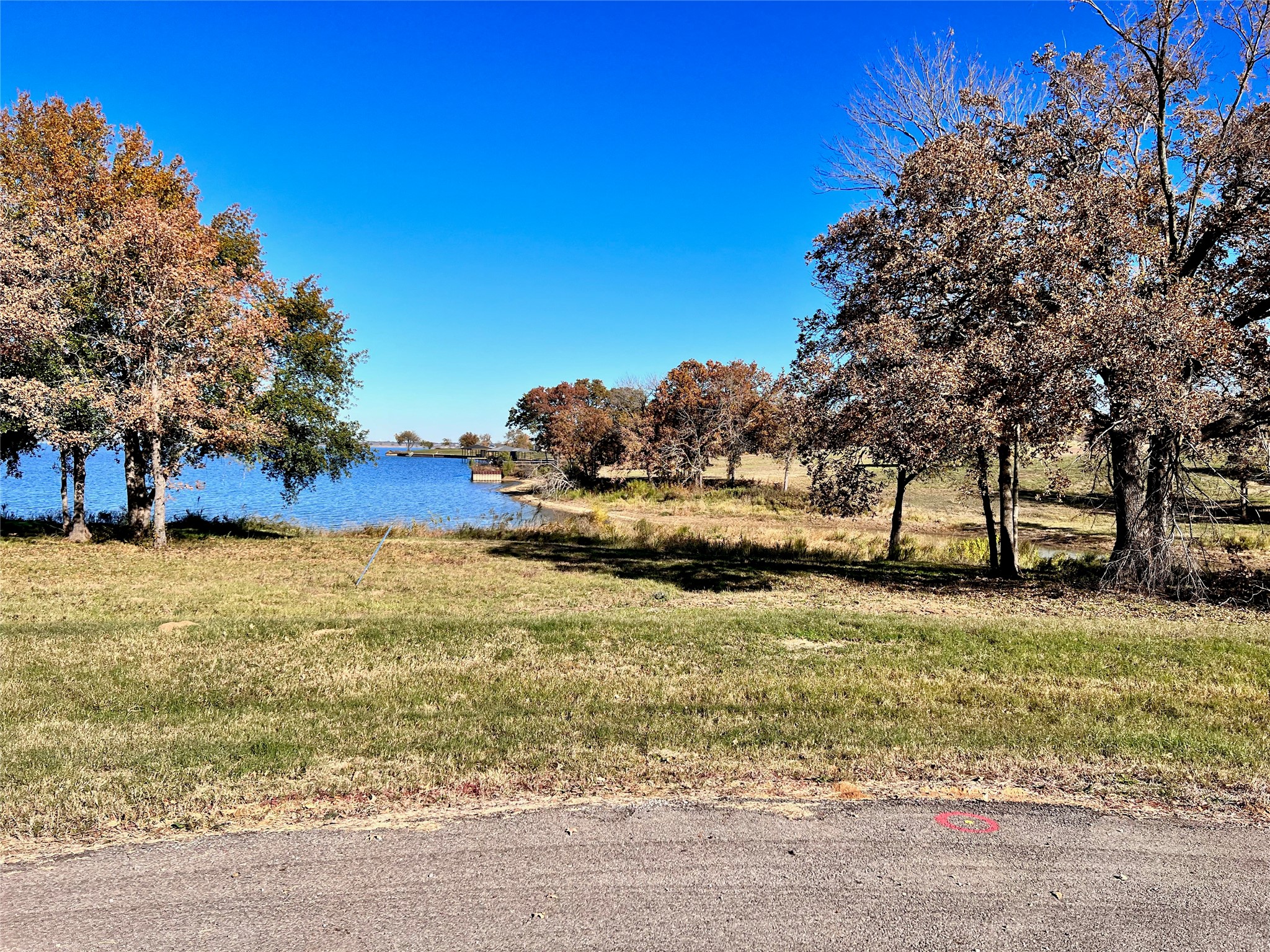 Lot 52 Paradise Cove Streetman TX 75859