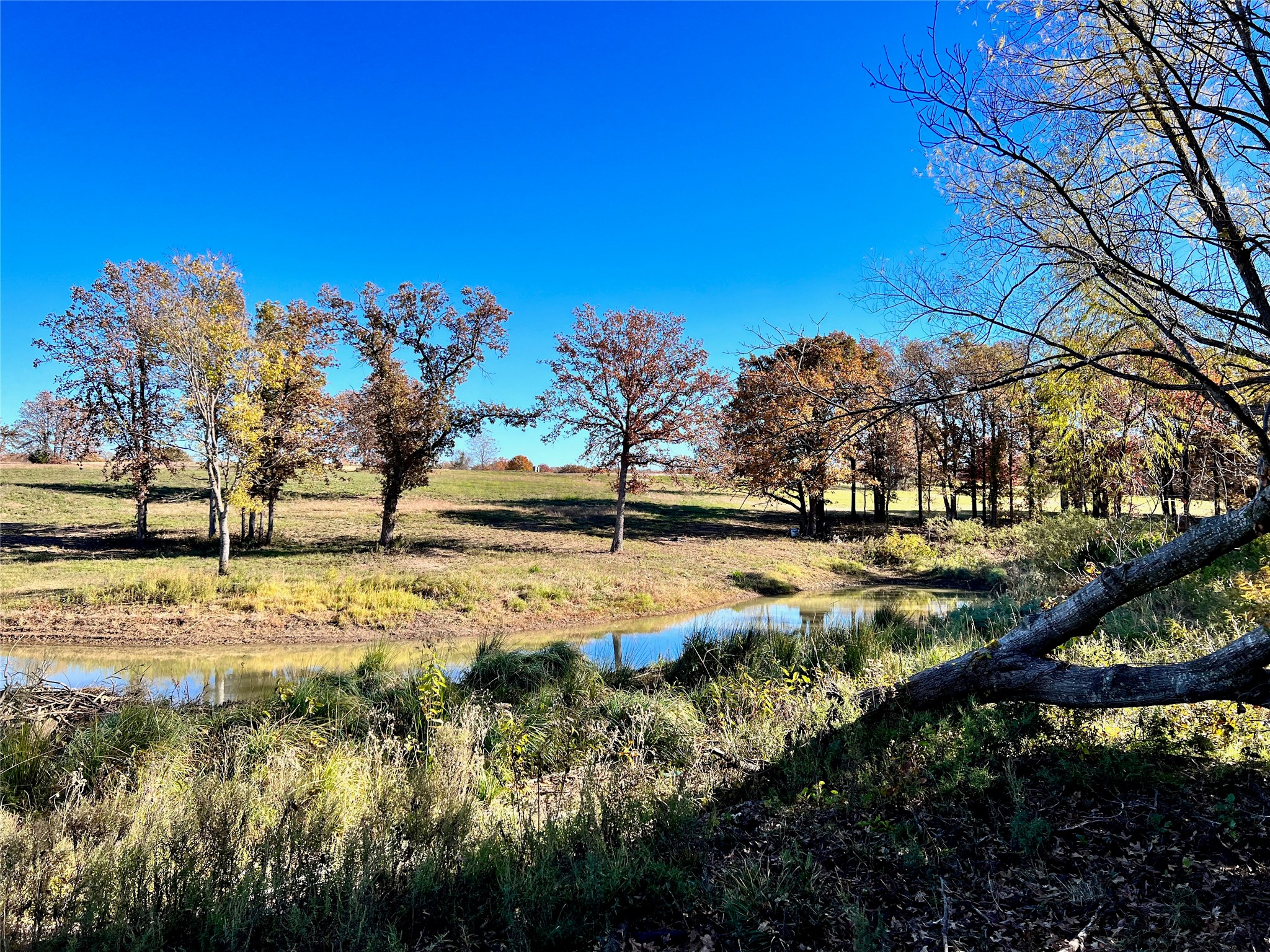 Lot 52 Paradise Cove Streetman TX 75859