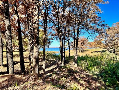 Lot 52 Paradise Cove Streetman TX 75859