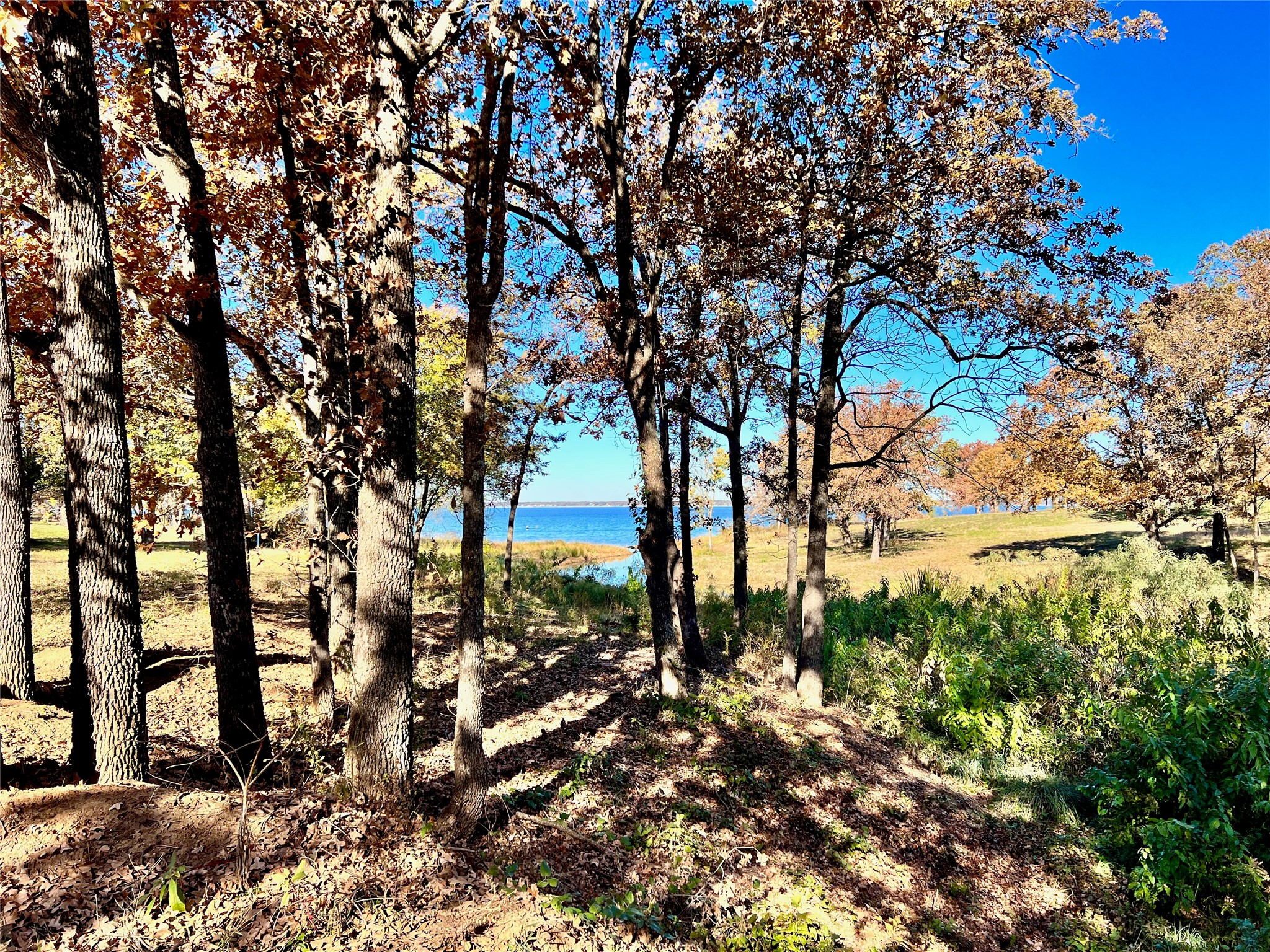 Lot 52 Paradise Cove Streetman TX 75859