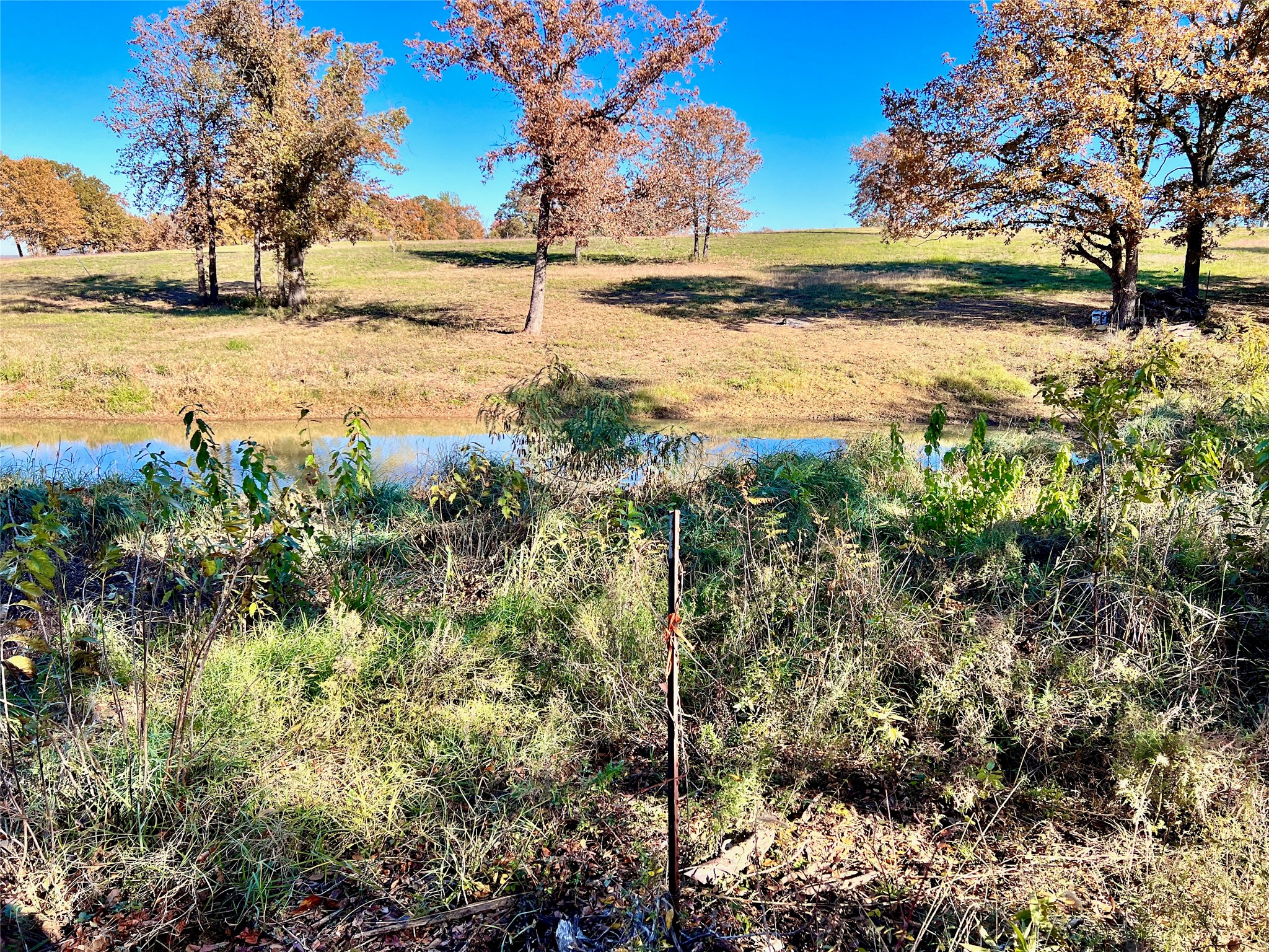 Lot 52 Paradise Cove Streetman TX 75859