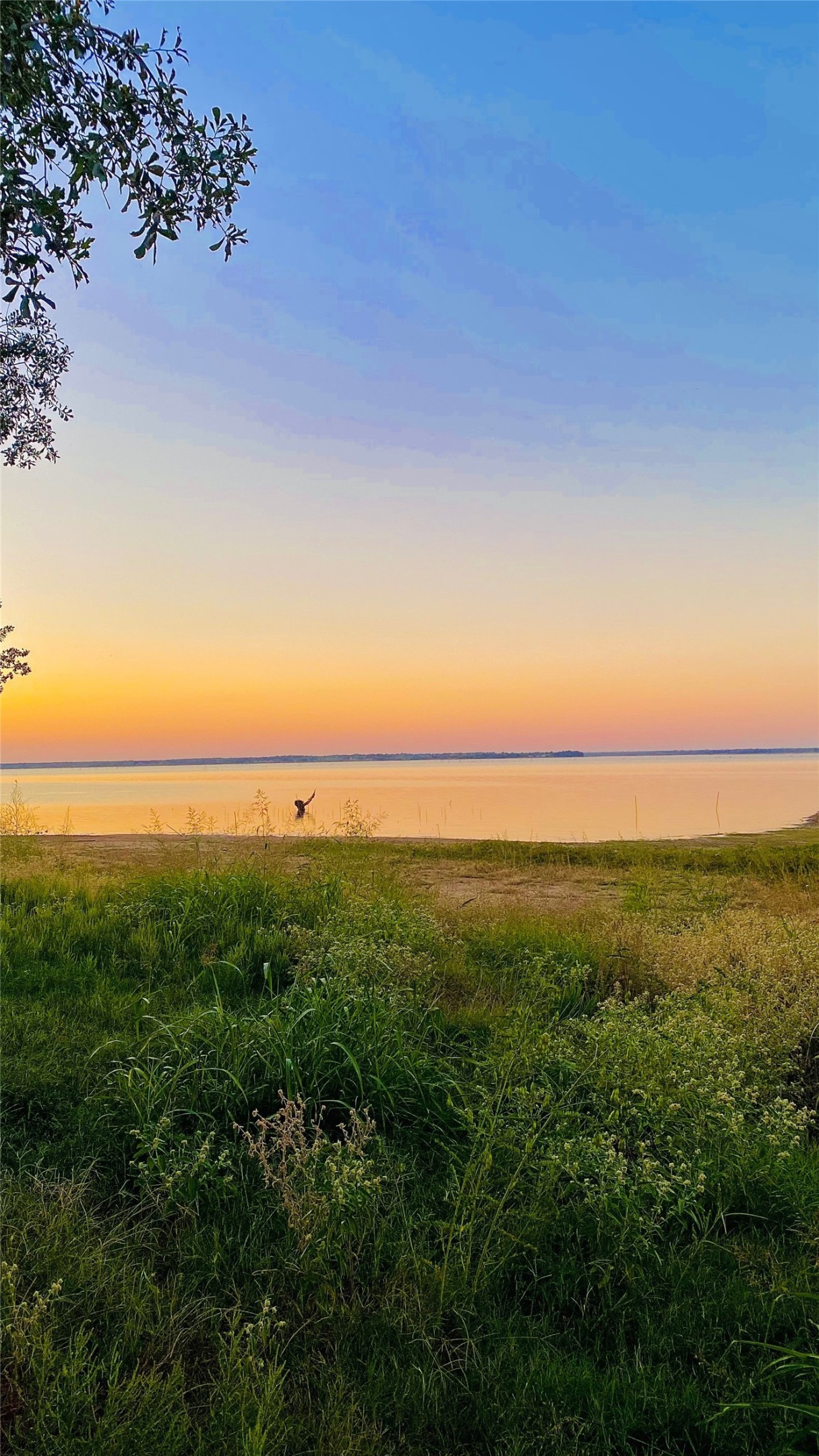 Lot 52 Paradise Cove Streetman TX 75859