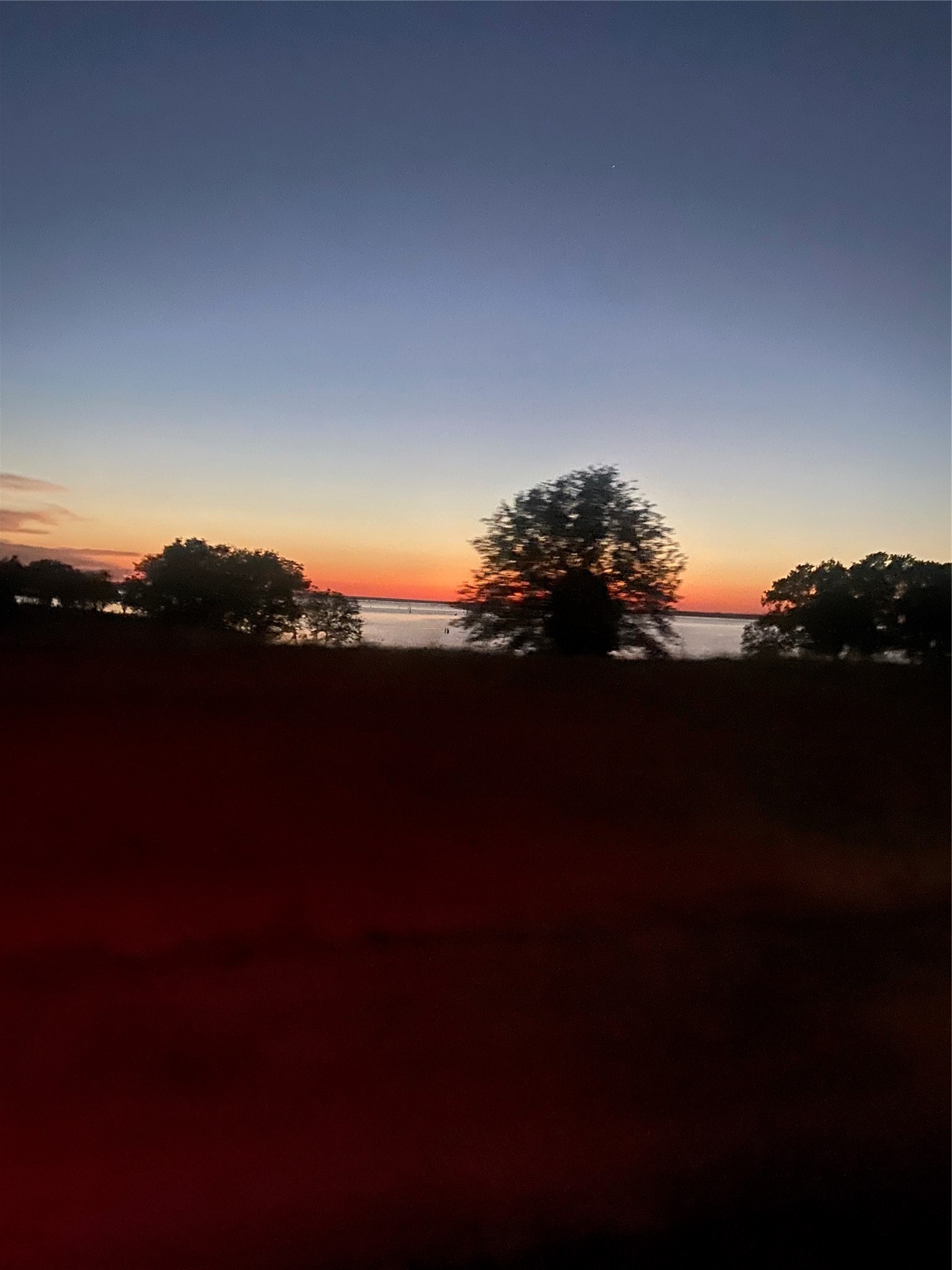 Lot 52 Paradise Cove Streetman TX 75859