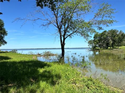 Lot 52 Paradise Cove Streetman TX 75859