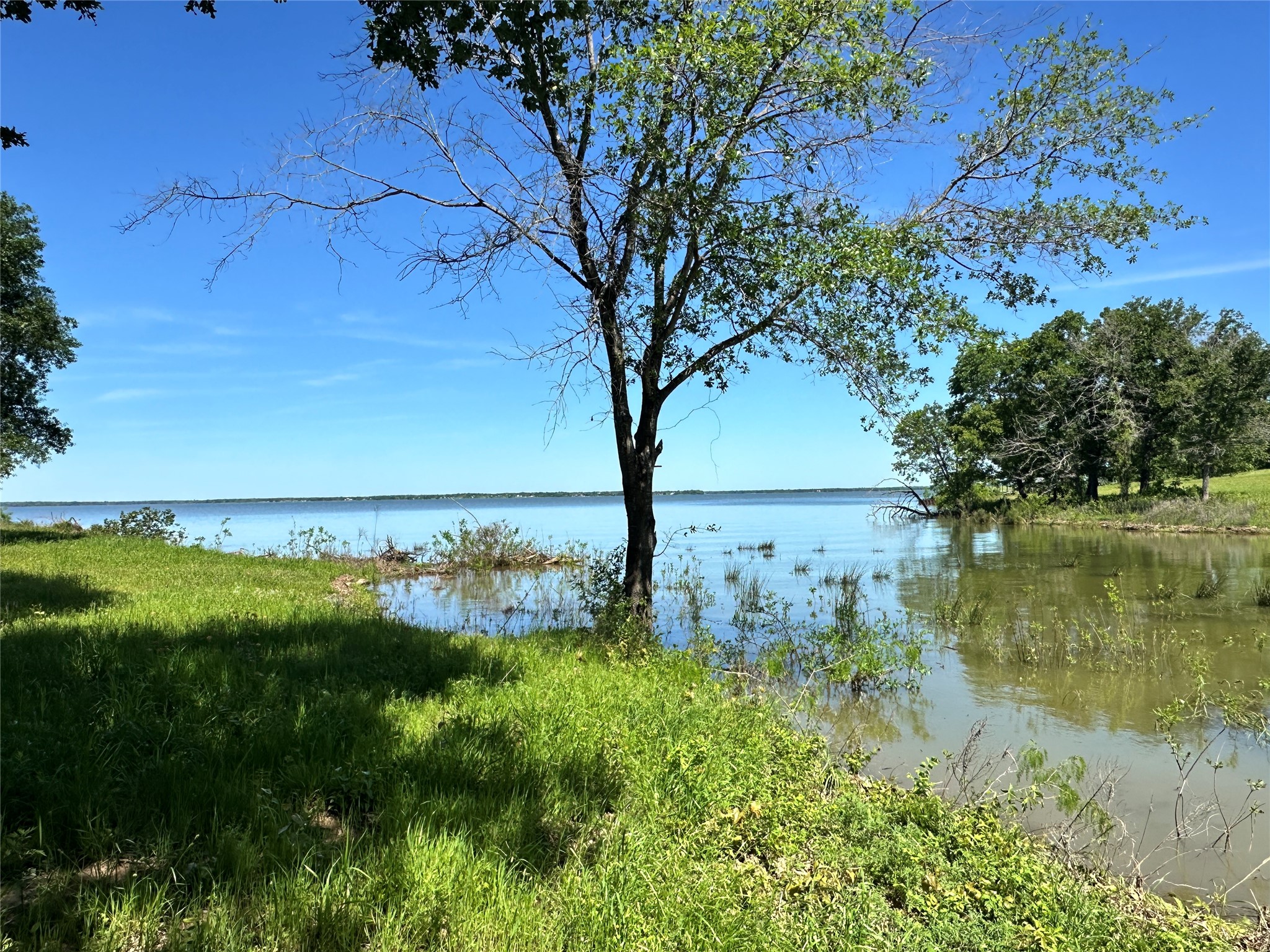 Lot 52 Paradise Cove Streetman TX 75859