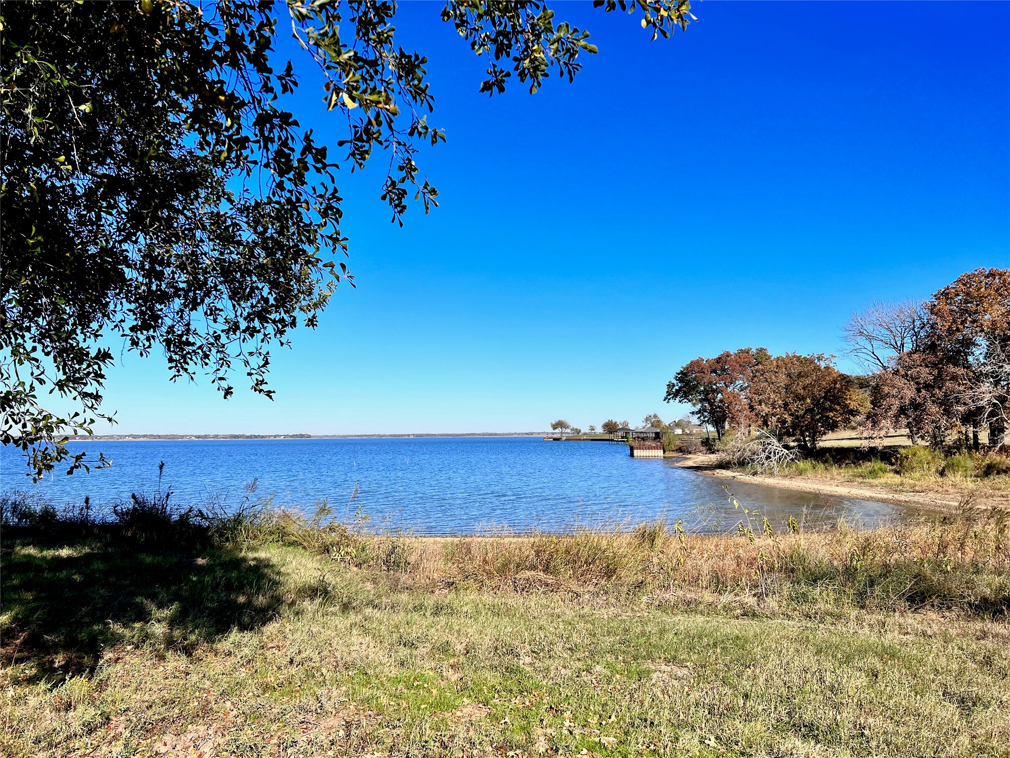 Lot 52 Paradise Cove Streetman TX 75859