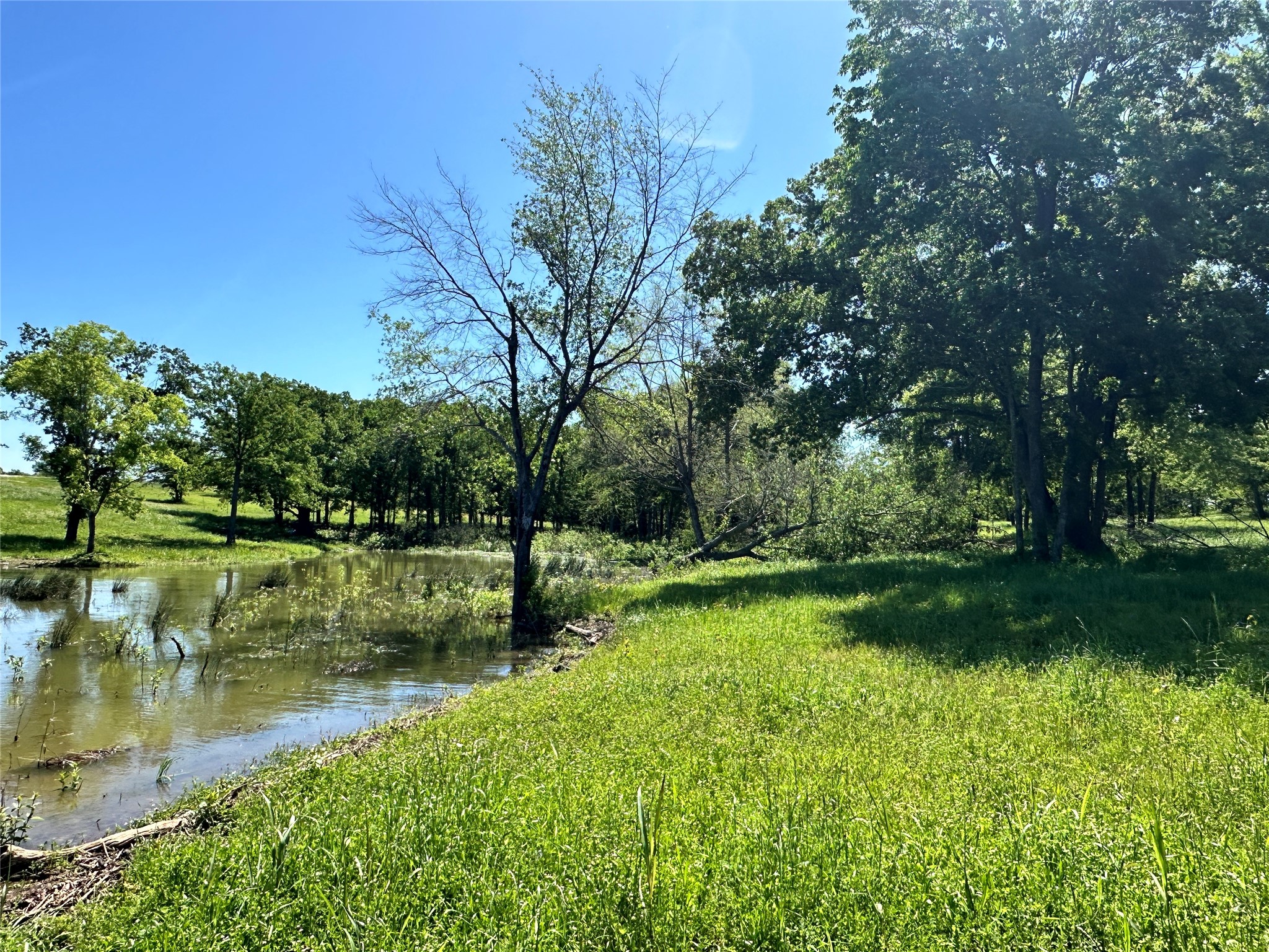 Lot 52 Paradise Cove Streetman TX 75859