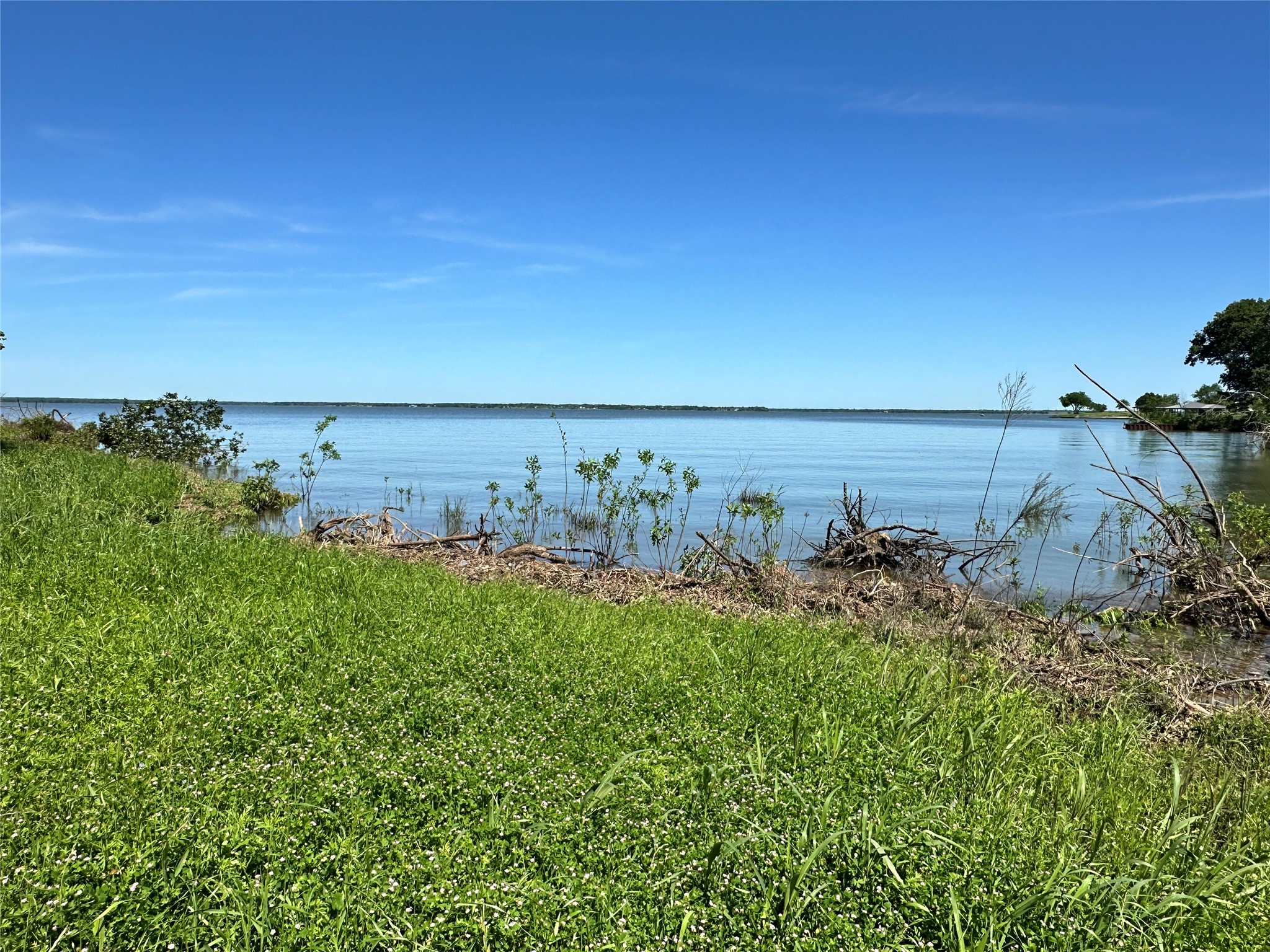 Lot 52 Paradise Cove Streetman TX 75859