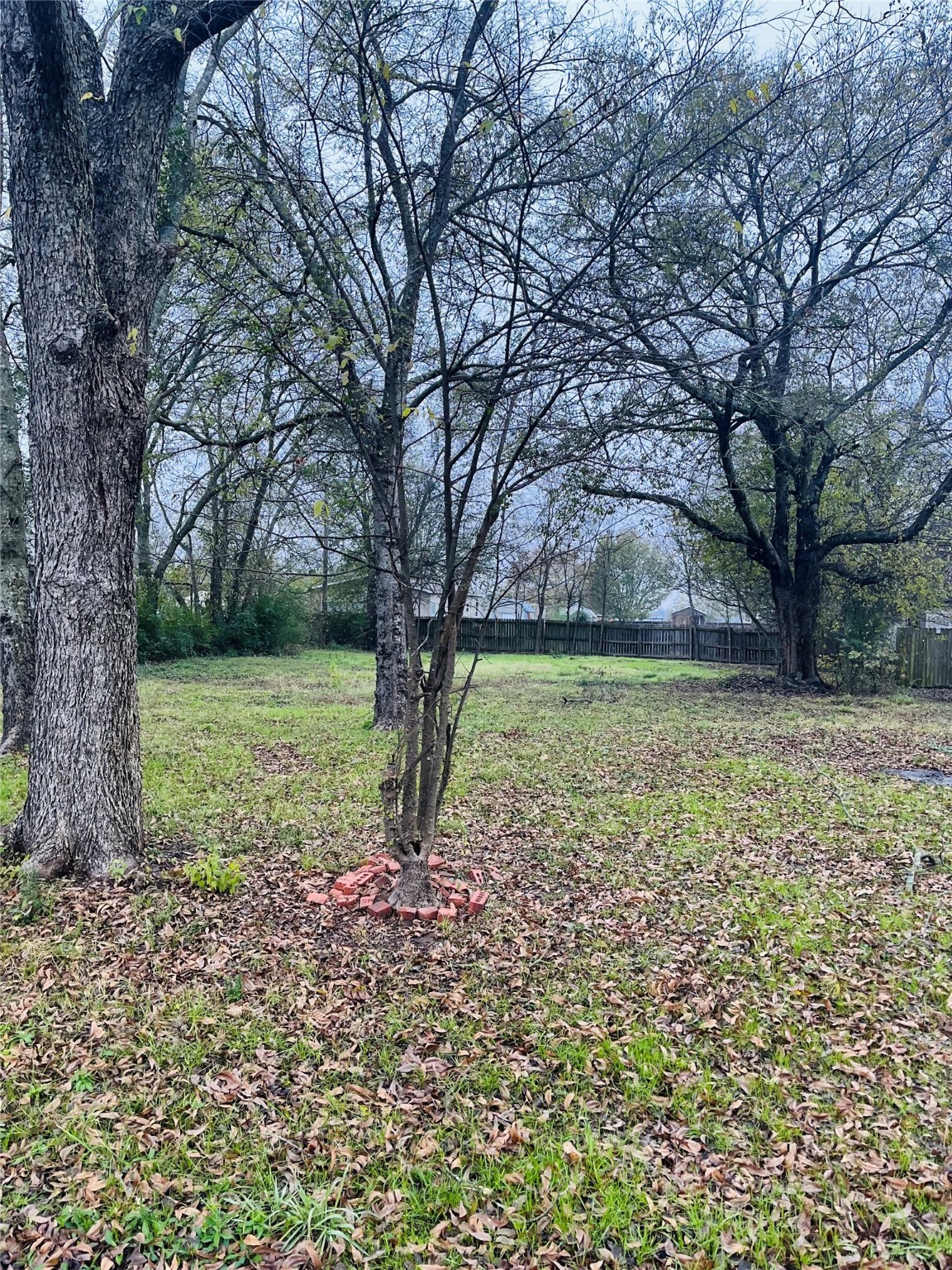 555 N 1st Street Point TX 75472