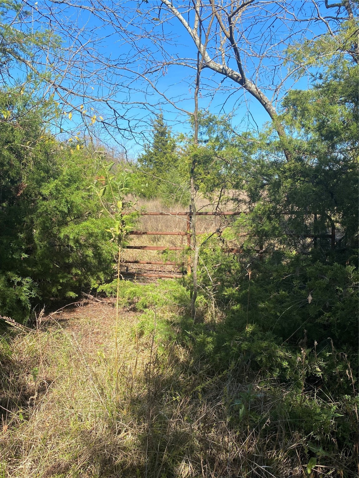 1604 Cr 3365 Ladonia TX 75449