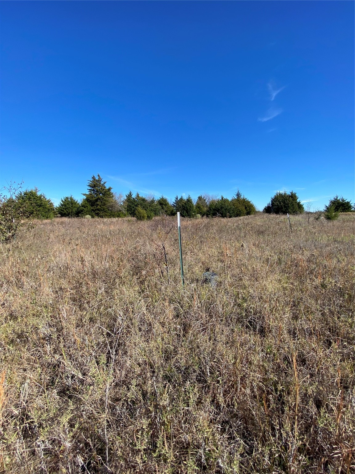 1604 Cr 3365 Ladonia TX 75449