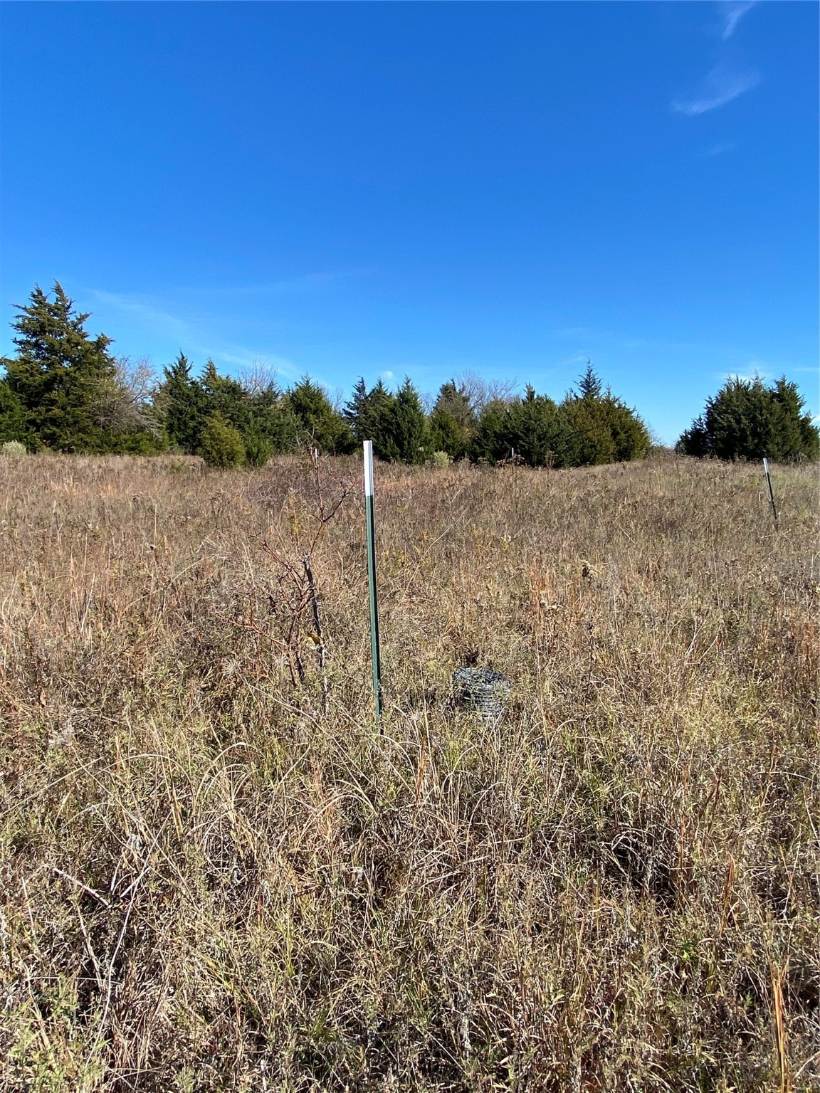1604 Cr 3365 Ladonia TX 75449